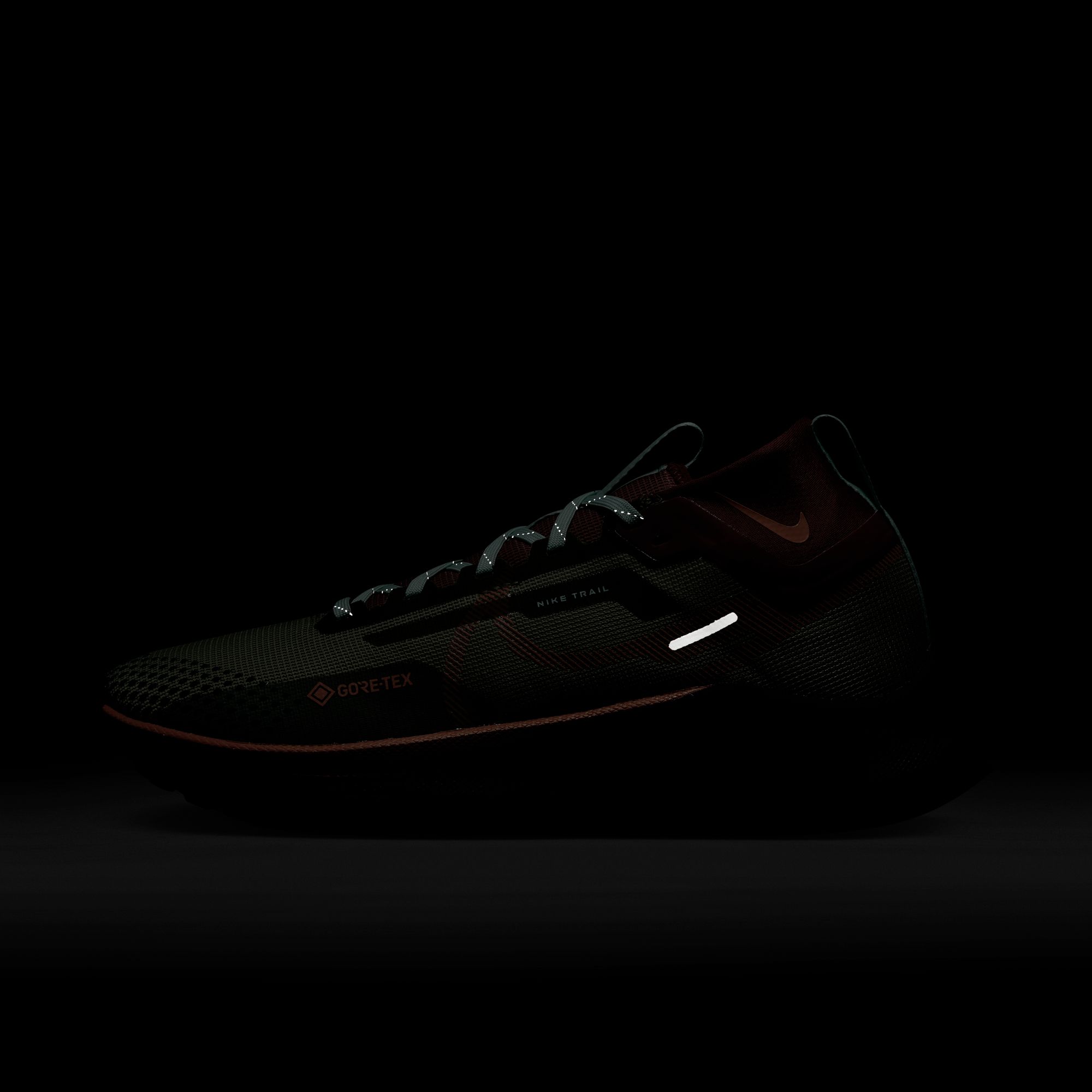 Nike React Pegasus Trail 4 Gore-Tex Running Kadın Spor Ayakkabı