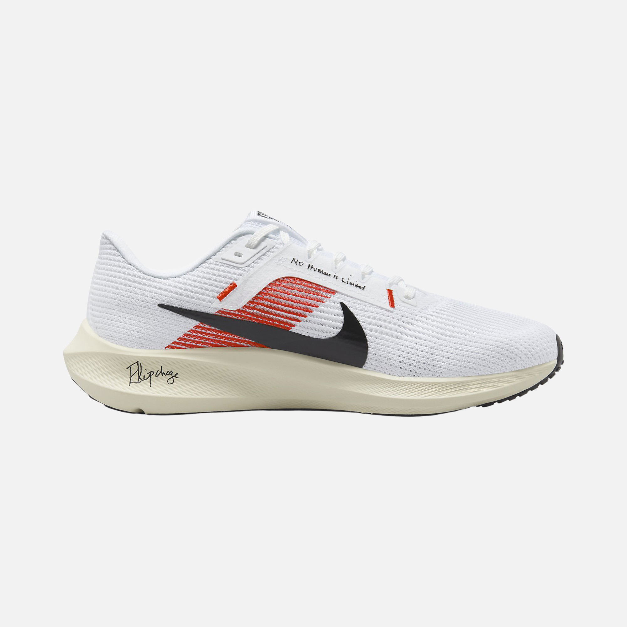 Nike Air Zoom Pegasus 40 Exclusive Only Running Erkek Spor Ayakkabı