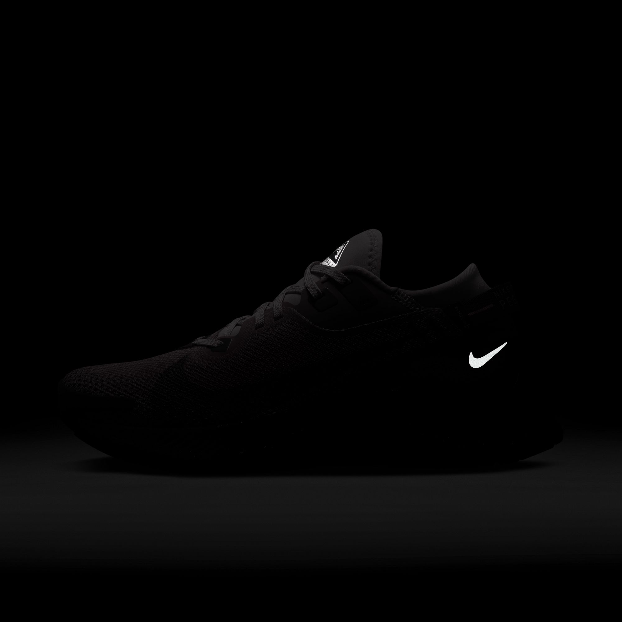 Nike Pegasus Trail 2 Gore-Tex Kadın Spor Ayakkabı