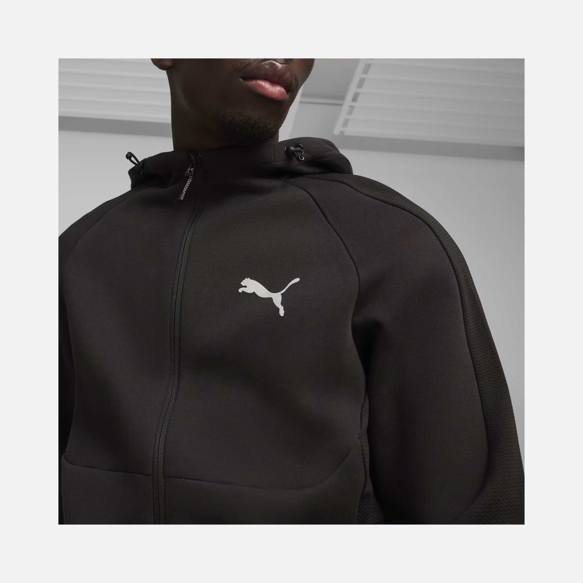 Puma Sportswear EVOSTRIPE Full-Zip Hoodie Erkek Sweatshirt