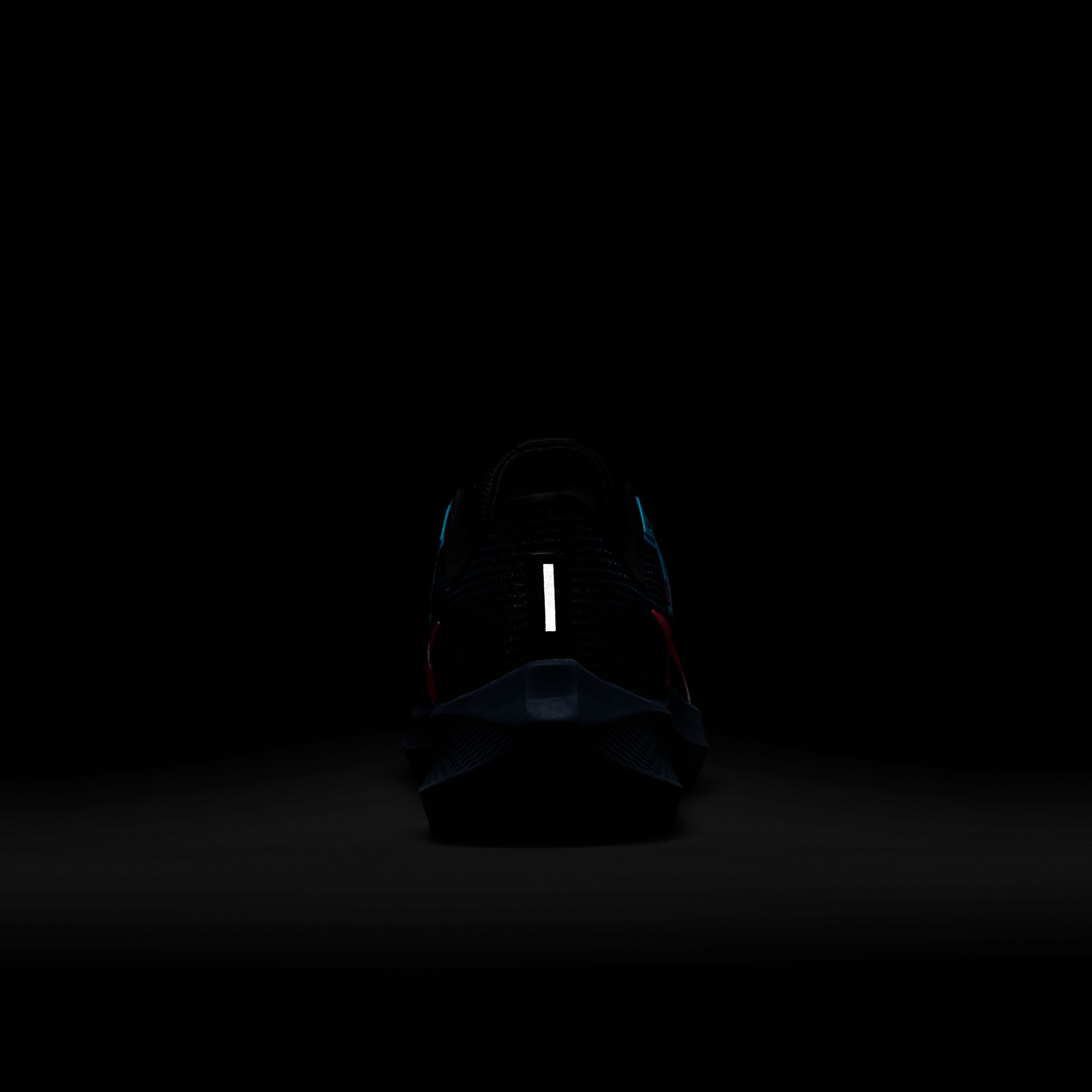 Nike Pegasus 40 SE Road Running Kadın Spor Ayakkabı