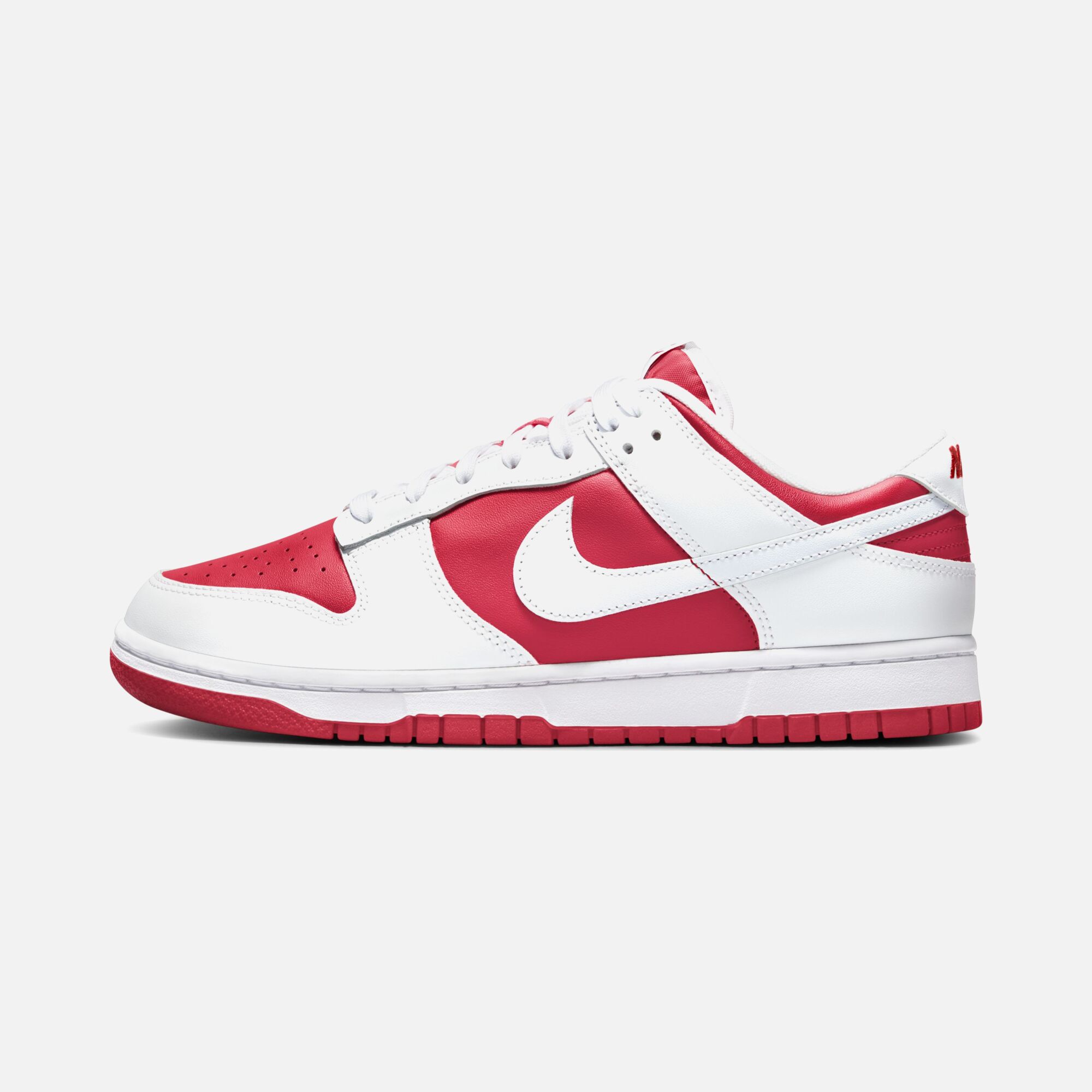 Nike Dunk Low Retro Erkek Spor Ayakkabı