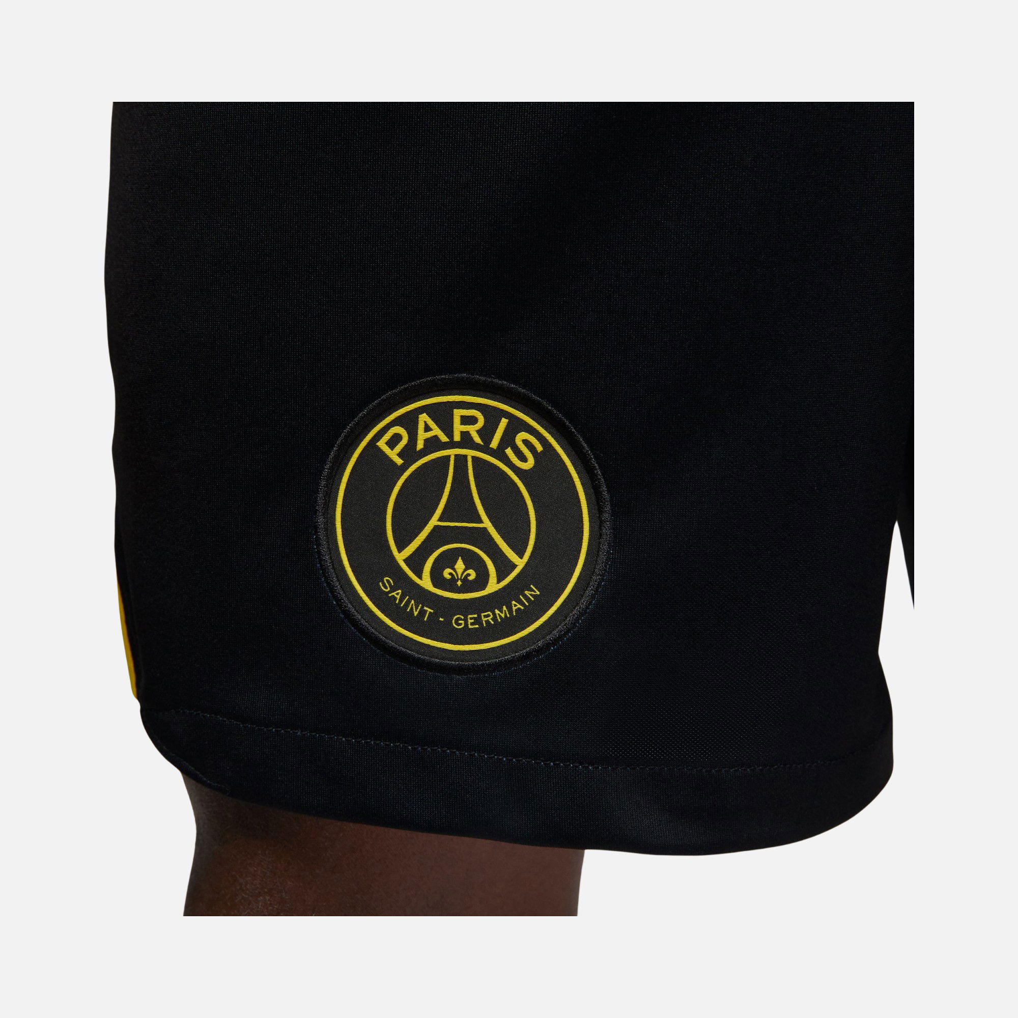 Nike Paris Saint-Germain 2022 - 2023 Stadium Fourth Erkek Şort