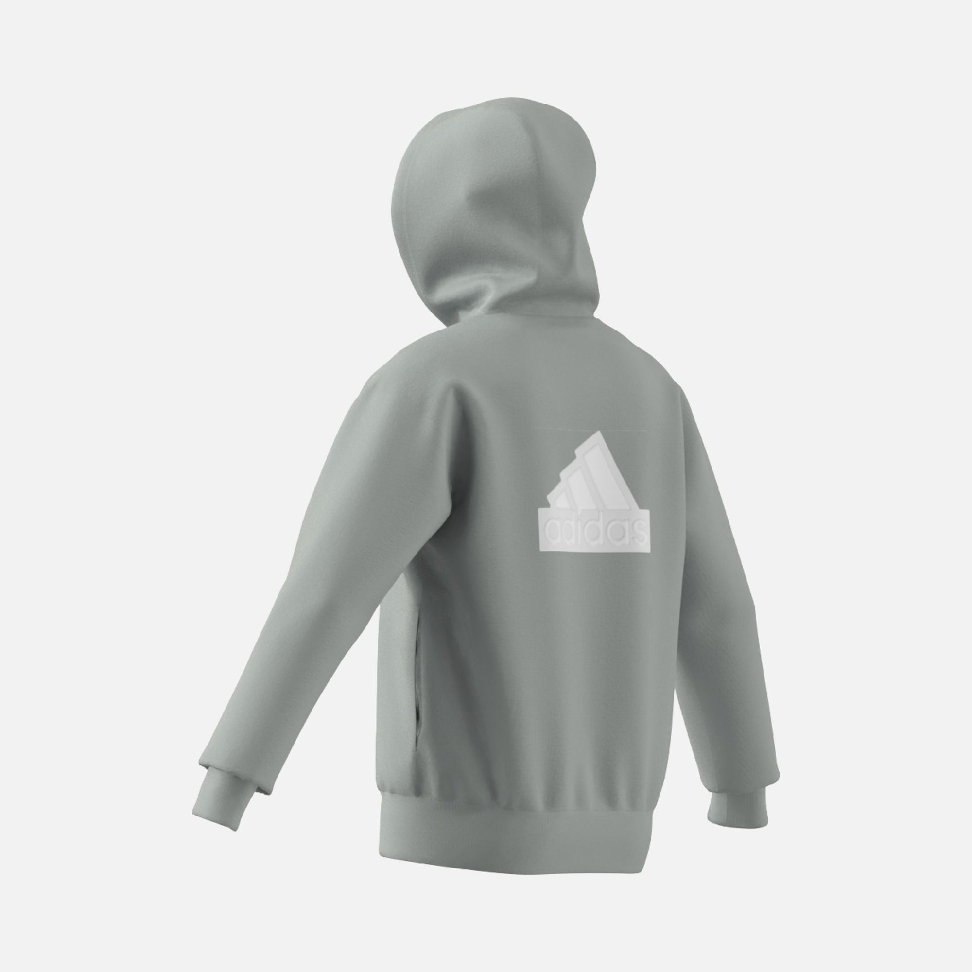 adidas Sportswear Future Icons Badge of Sport Full-Zip Hoodie Erkek Sweatshirt