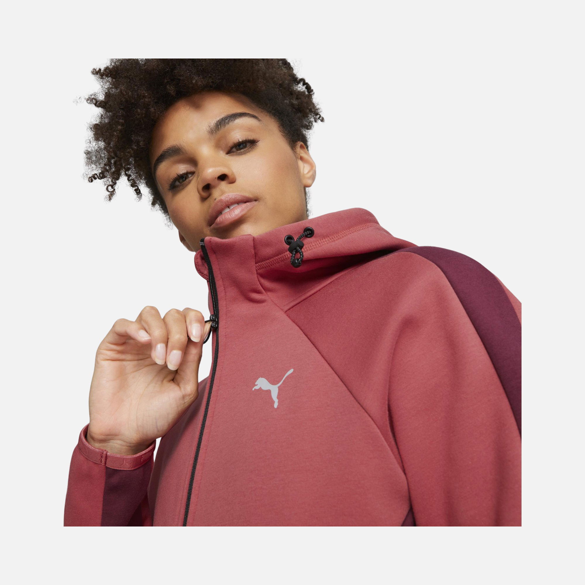 Puma Sportswear Evostripe Winterized Full-Zip Hoodie Erkek Sweatshirt