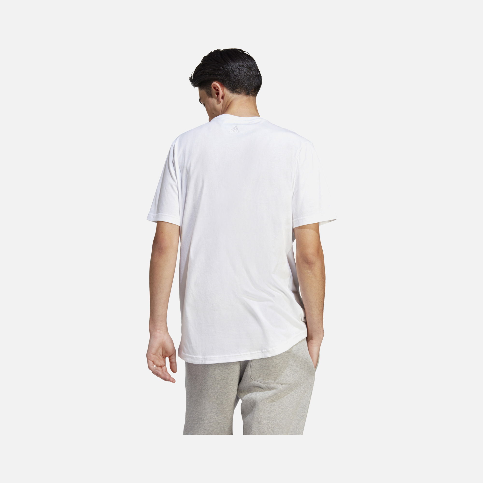 adidas Sportswear All SZN Graphic Short-Sleeve Erkek Tişört