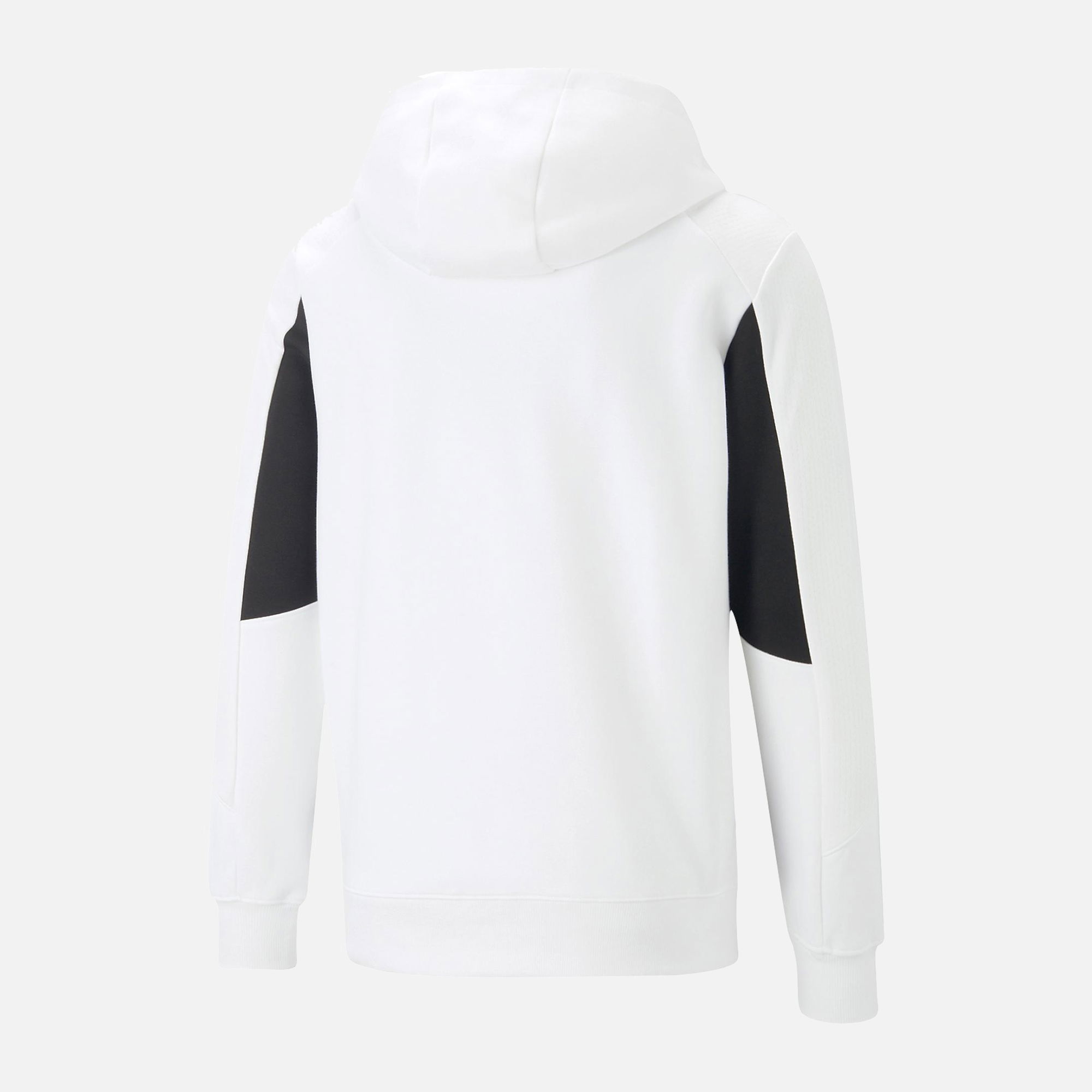 Puma Sportswear BMW M Motorsport Full-Zip Hoodie Erkek Sweatshirt