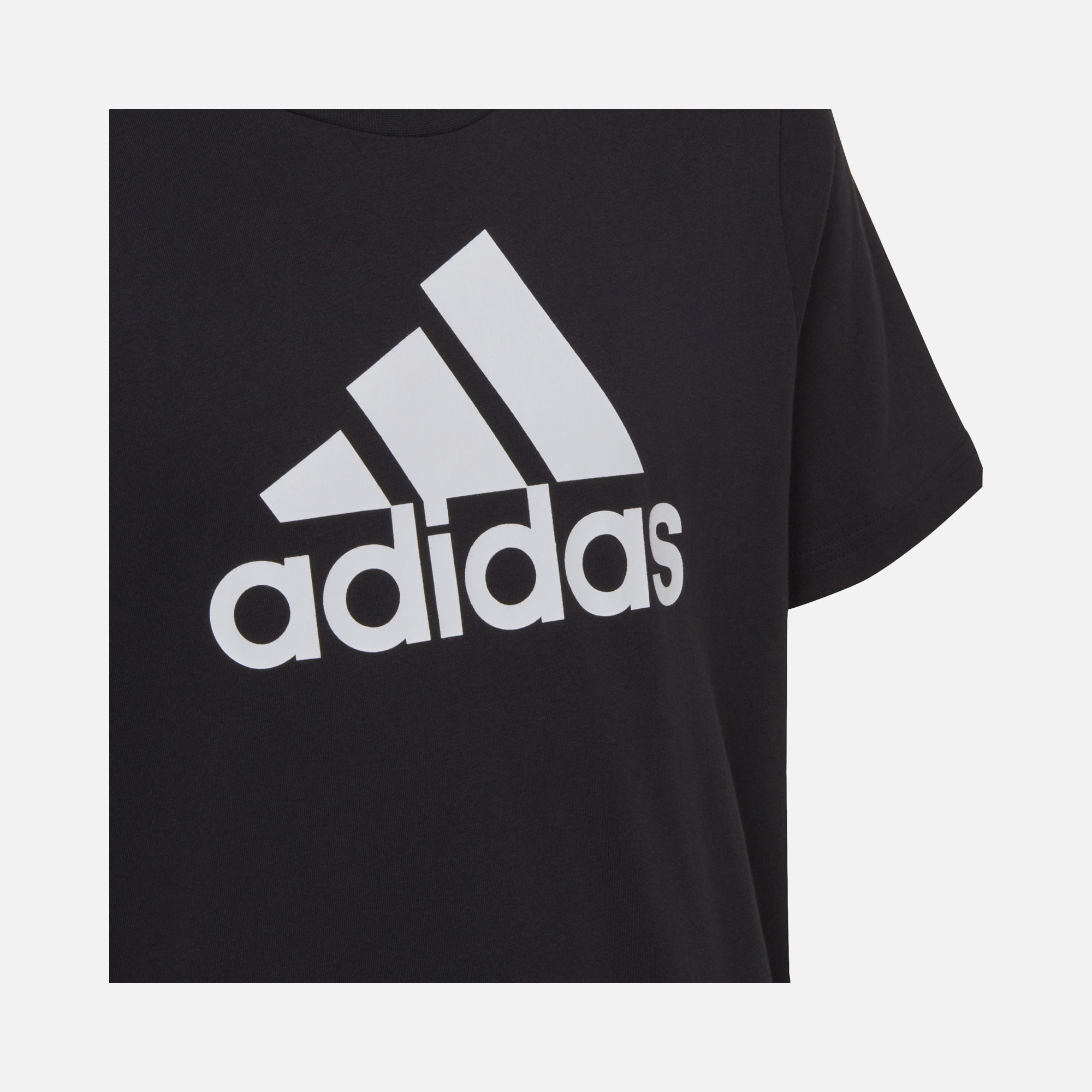adidas Sportswear Essentials Big Logo Short-Sleeve Çocuk Tişört
