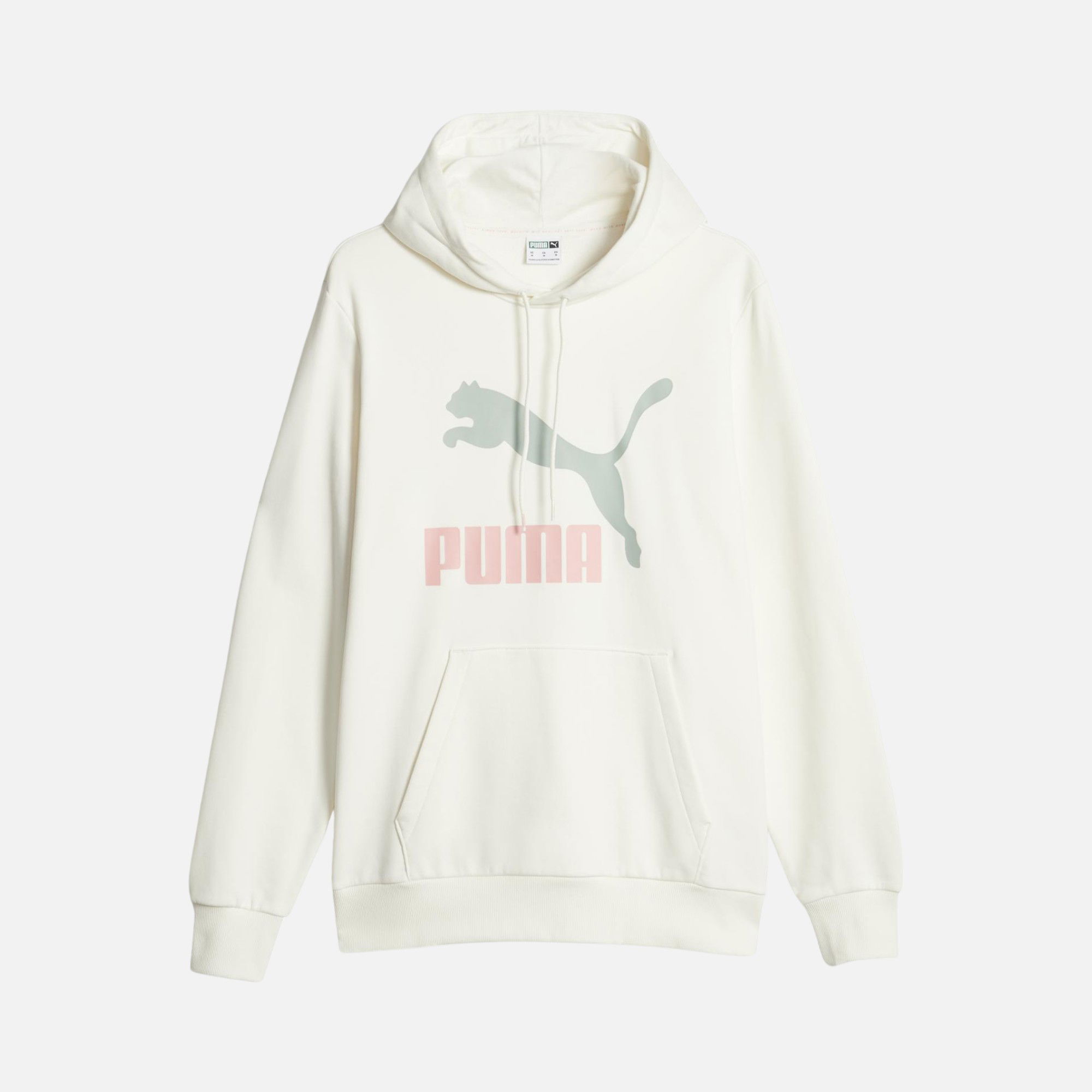 Puma Sportswear Classics Logo Hoodie Erkek Sweatshirt