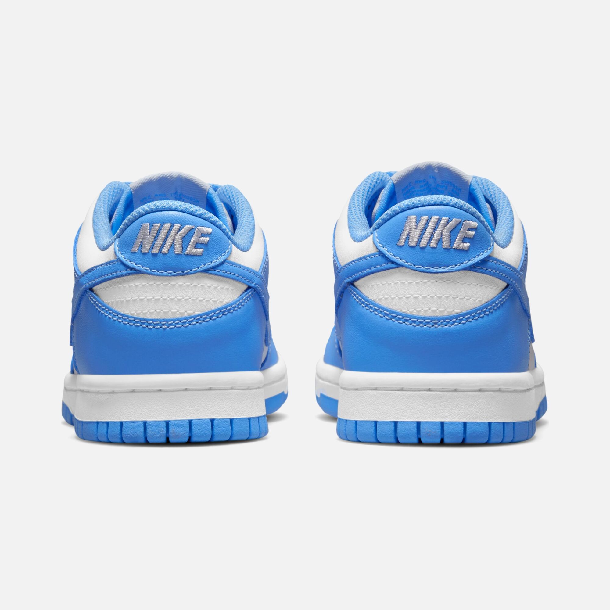 Nike Dunk Low CO (GS) Spor Ayakkabı