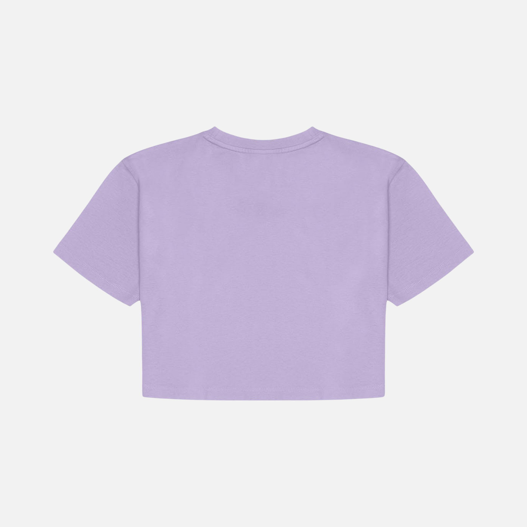 WWF Sportswear Giant Panda Embroidered Cropped Short-Sleeve Kadın Tişört