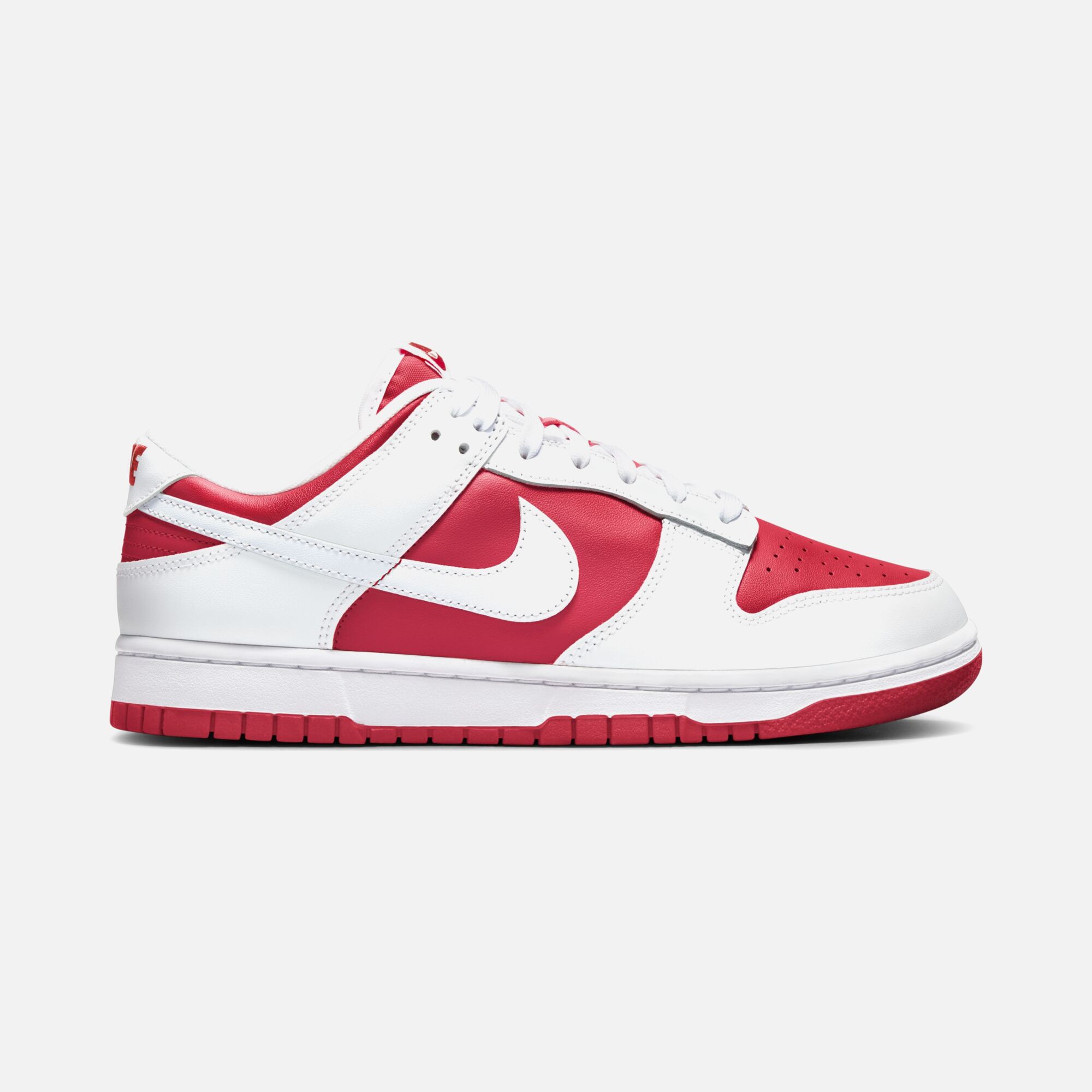 Nike Dunk Low Retro Erkek Spor Ayakkabı