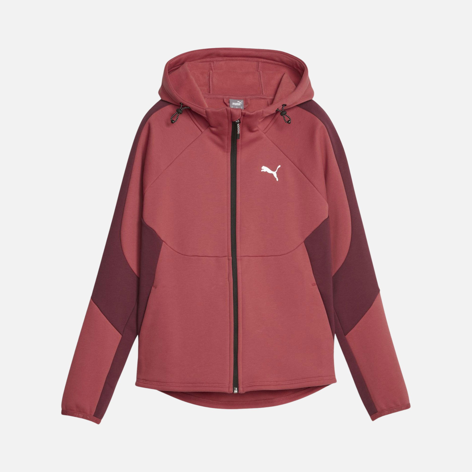 Puma Sportswear Evostripe Winterized Full-Zip Hoodie Erkek Sweatshirt
