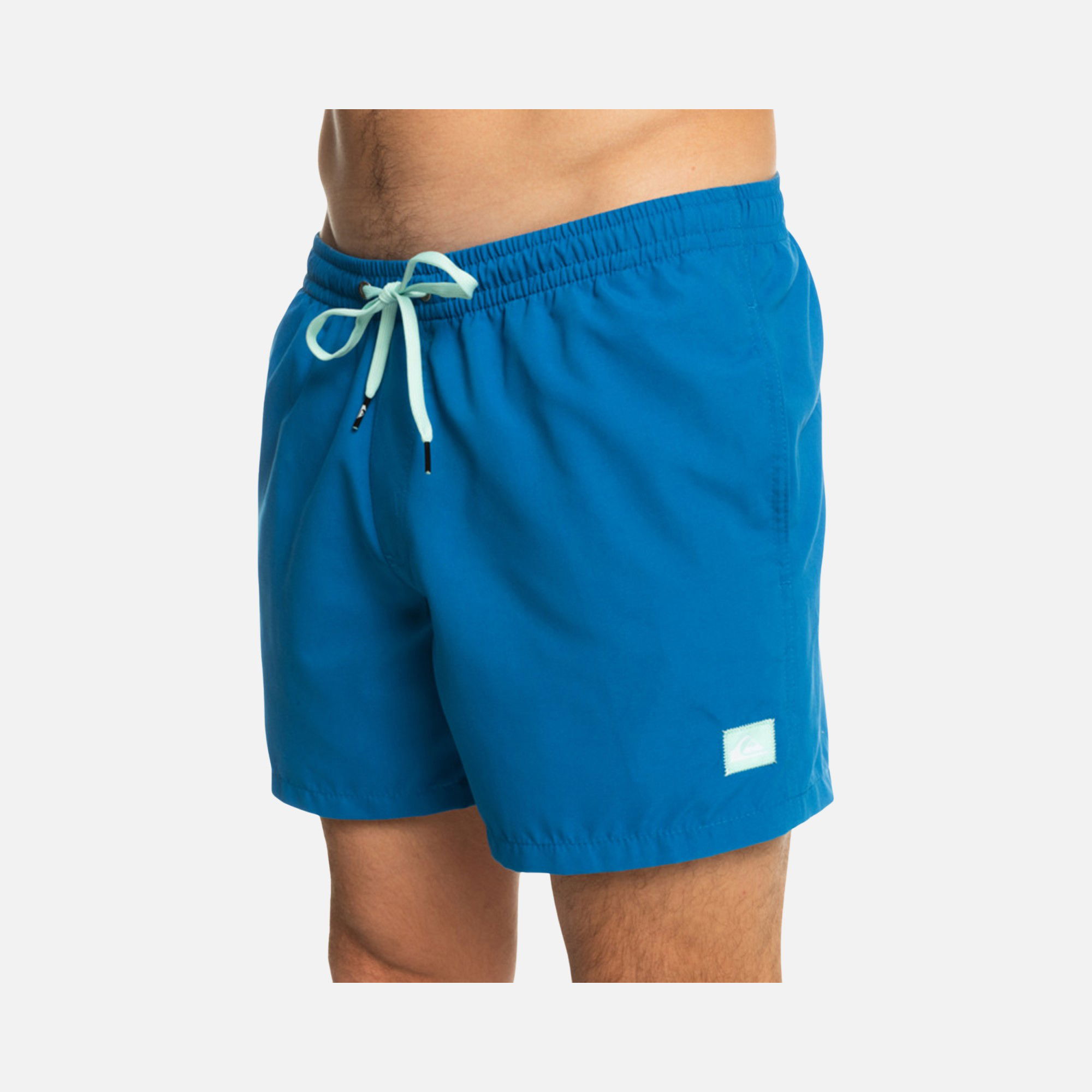 Quiksilver Everyday 15'' Erkek Şort Mayo