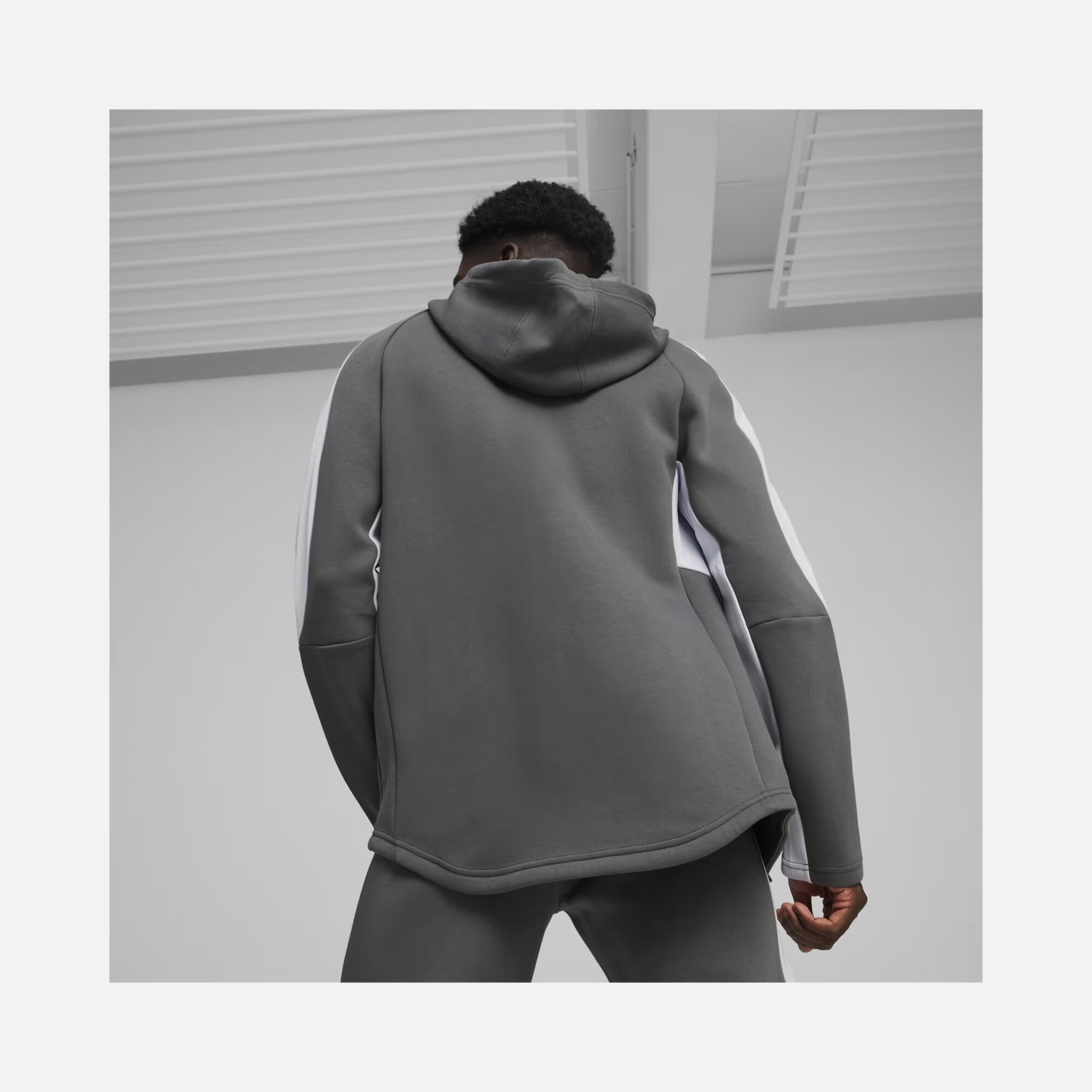 Puma Sportswear EVOSTRIPE Full-Zip Hoodie Erkek Sweatshirt