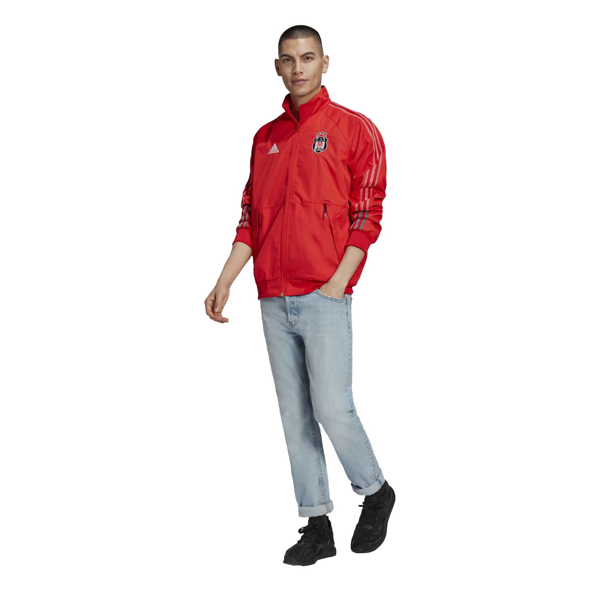 adidas Beşiktaş Anthem Erkek Ceket