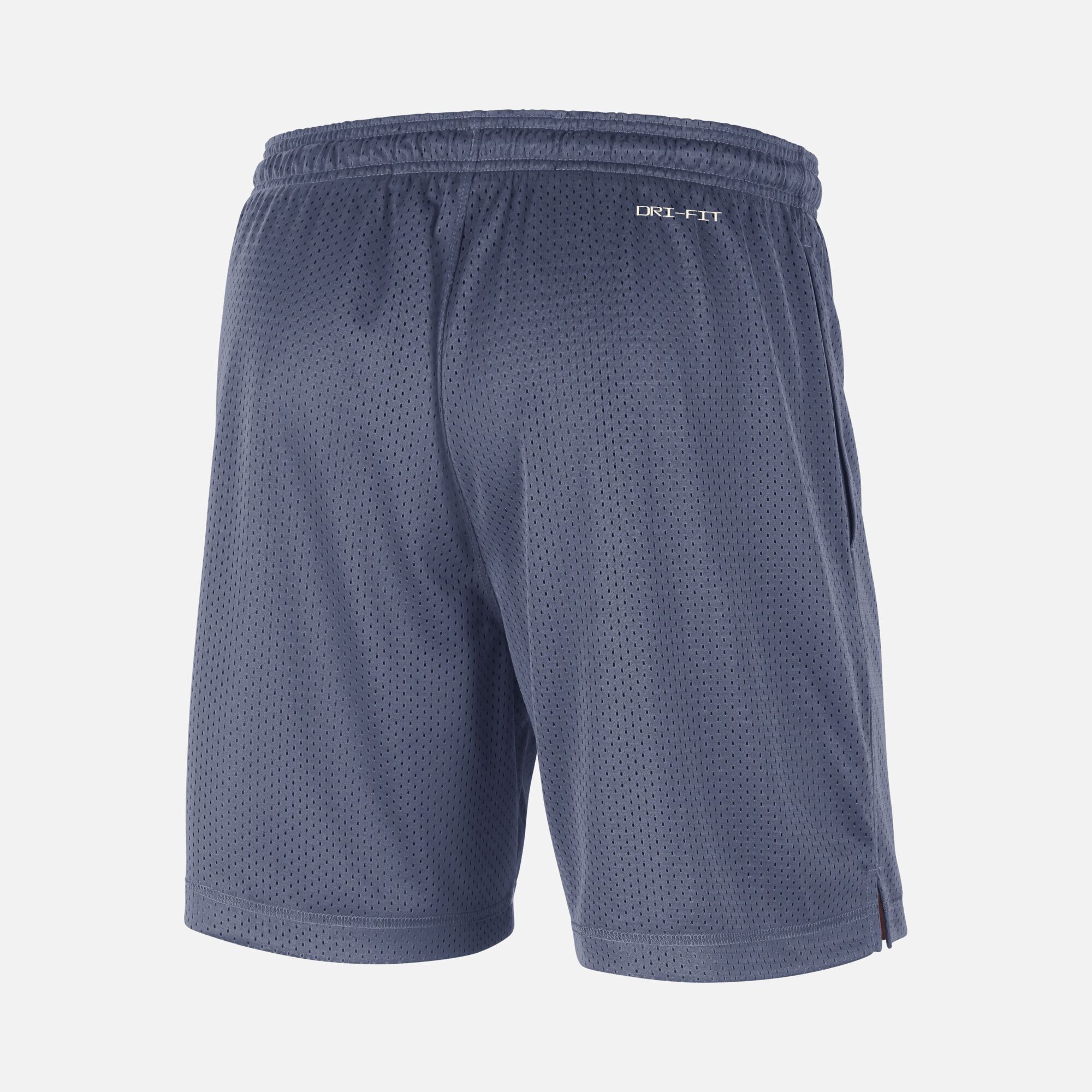 Nike Dri-Fit Team 31 Standard Issue Reversible NBA Basketball Erkek Şort