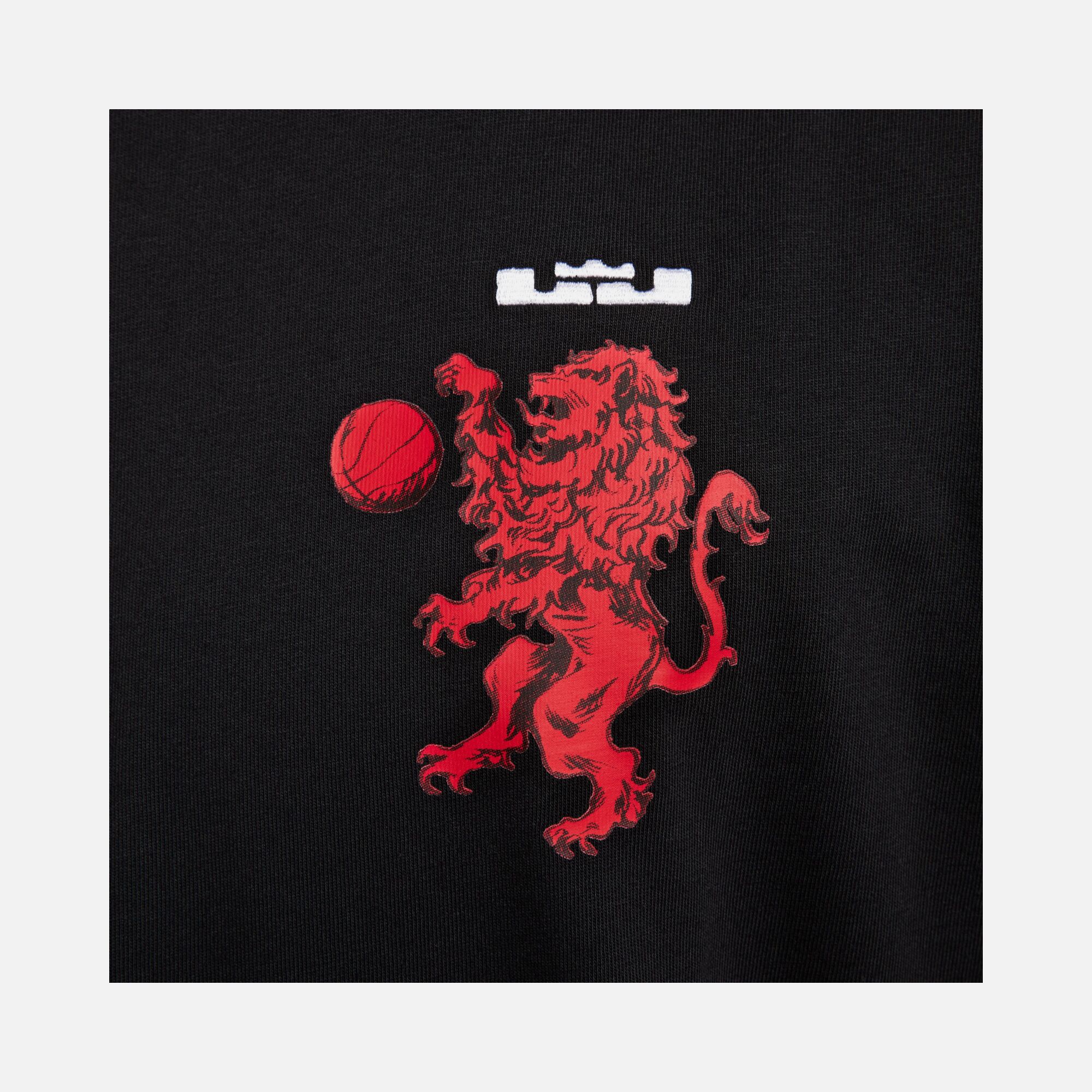 Nike LeBron James M90 Short-Sleeve Erkek Tişört