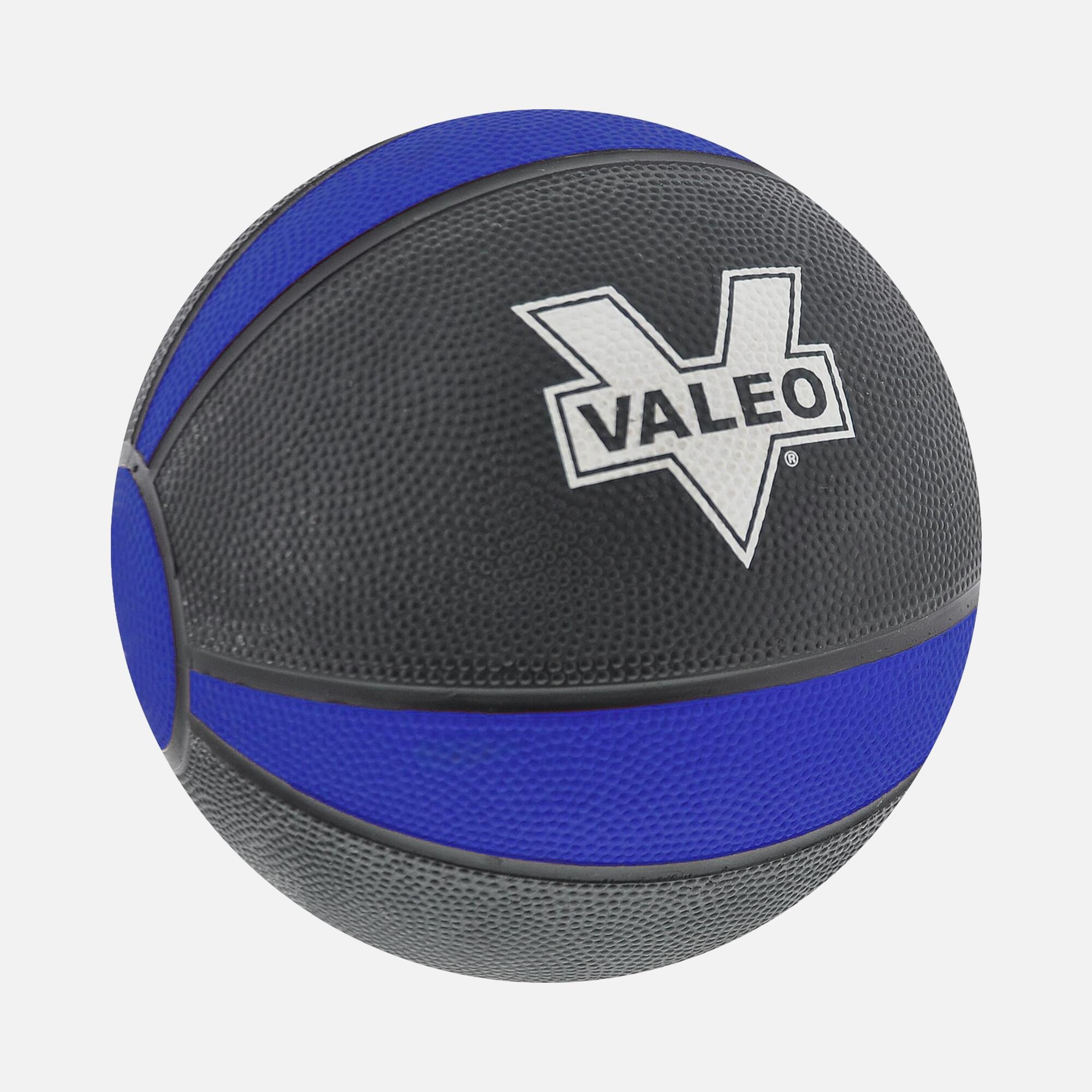 Finspor Valeo 5 Kg Sağlık Topu