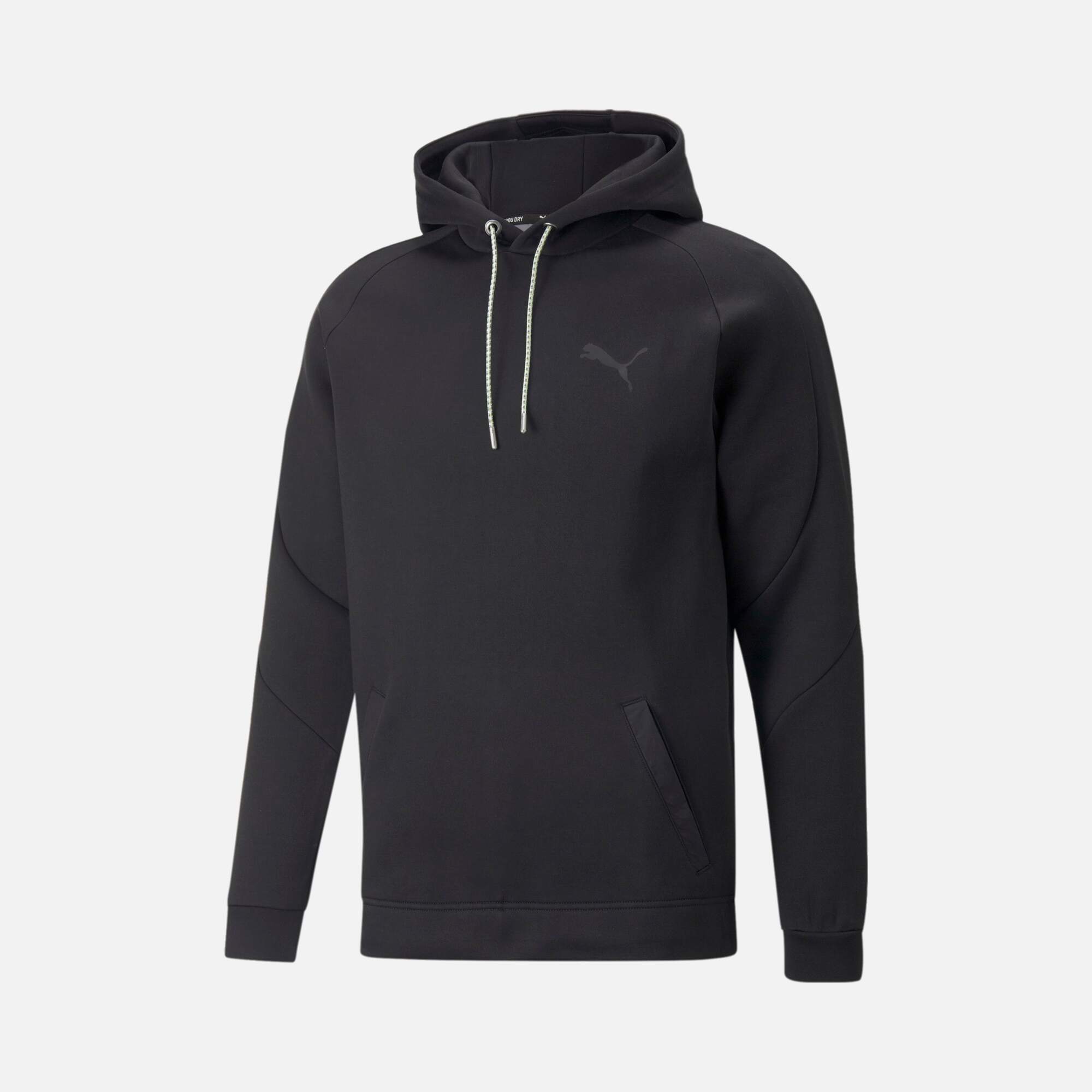 Puma Sportswear Day In Motion Hoodie Erkek Sweatshirt
