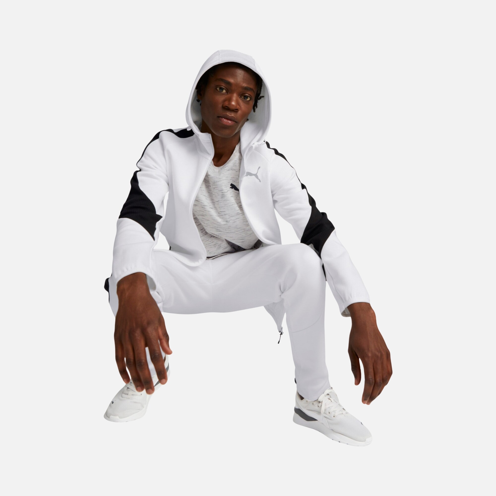 Puma Sportswear Evostripe Full-Zip Hoodie Erkek Sweatshirt
