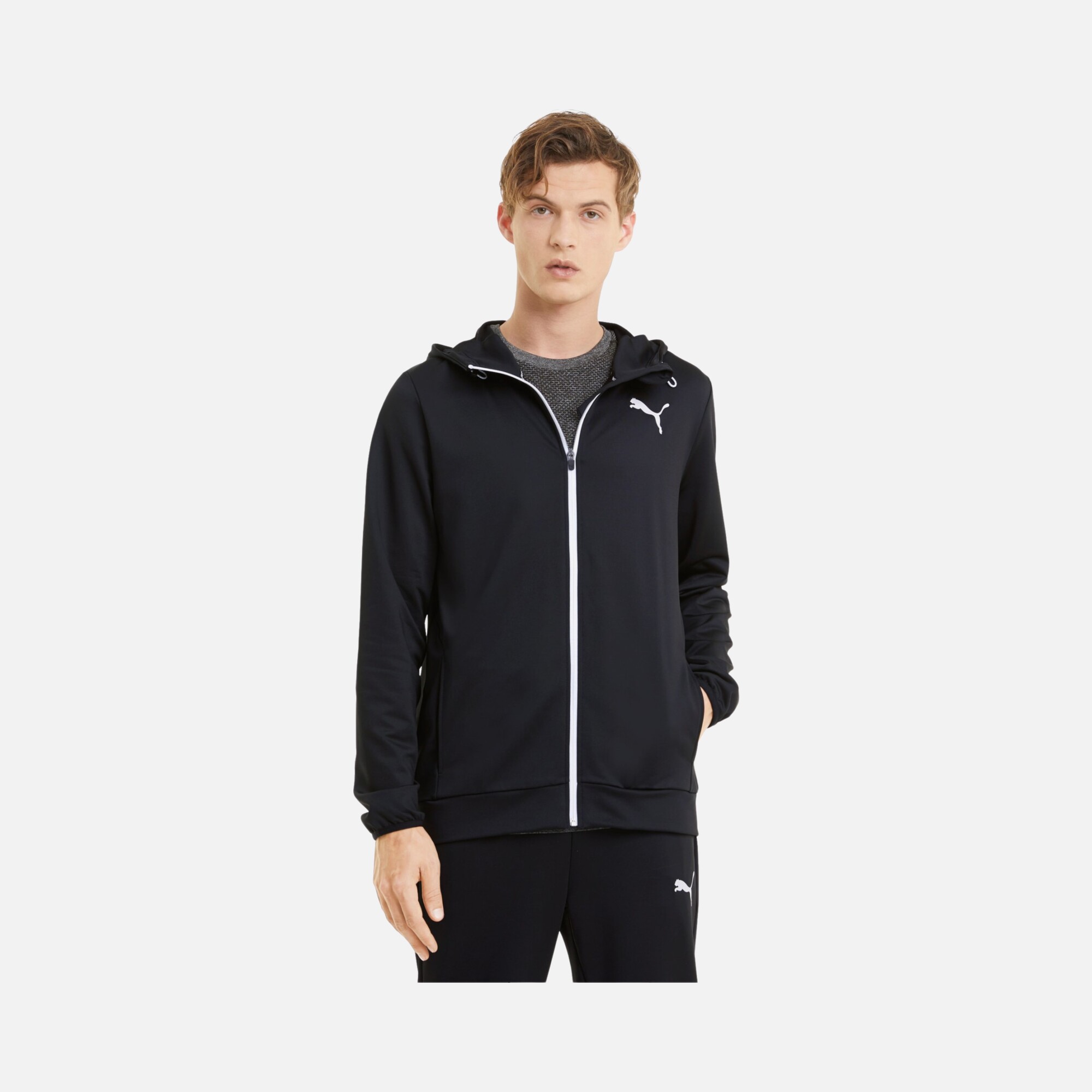 Puma RTG Full-Zip Hoodie Erkek Sweatshirt