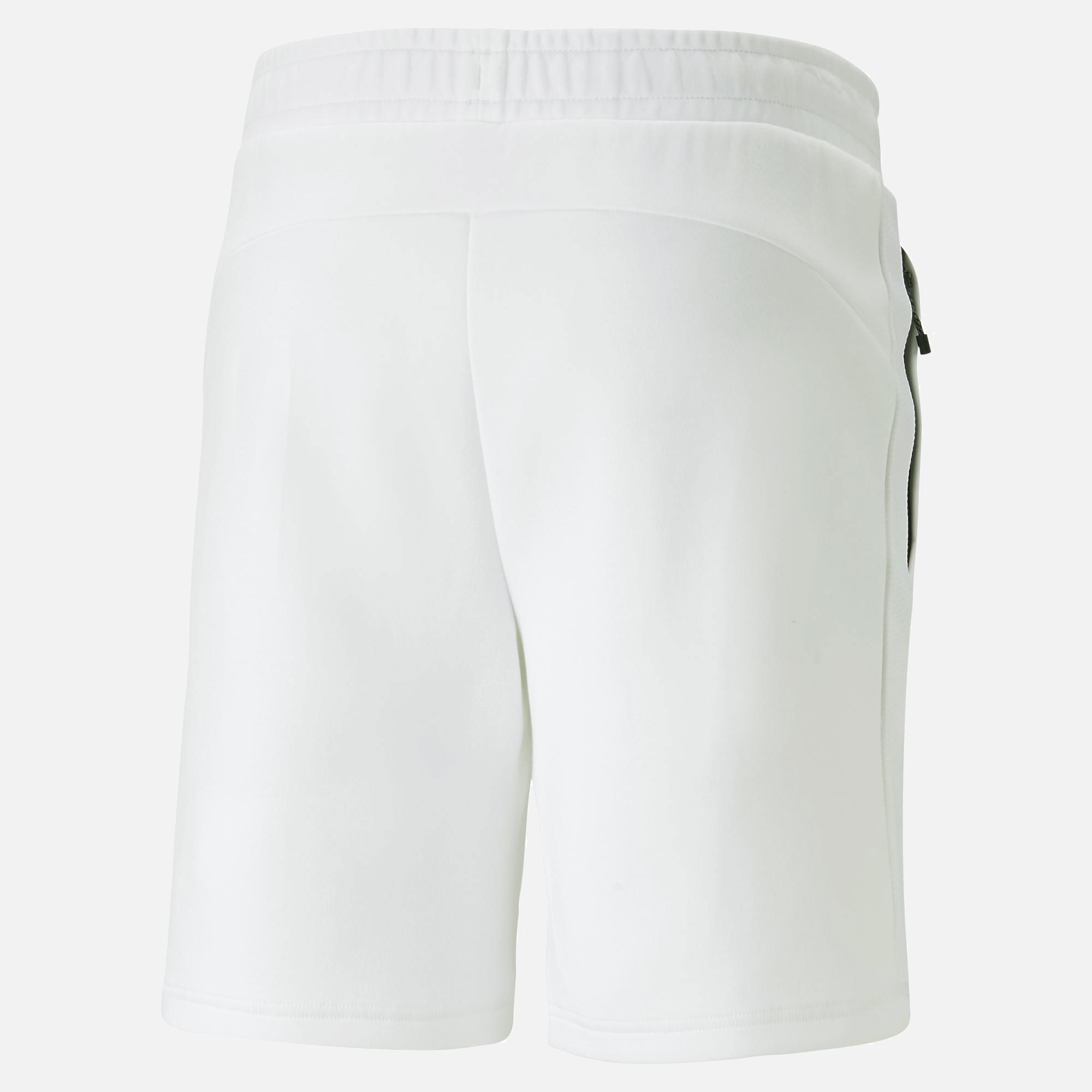 Puma Sportswear Evostripe Shorts 8" Erkek Şort