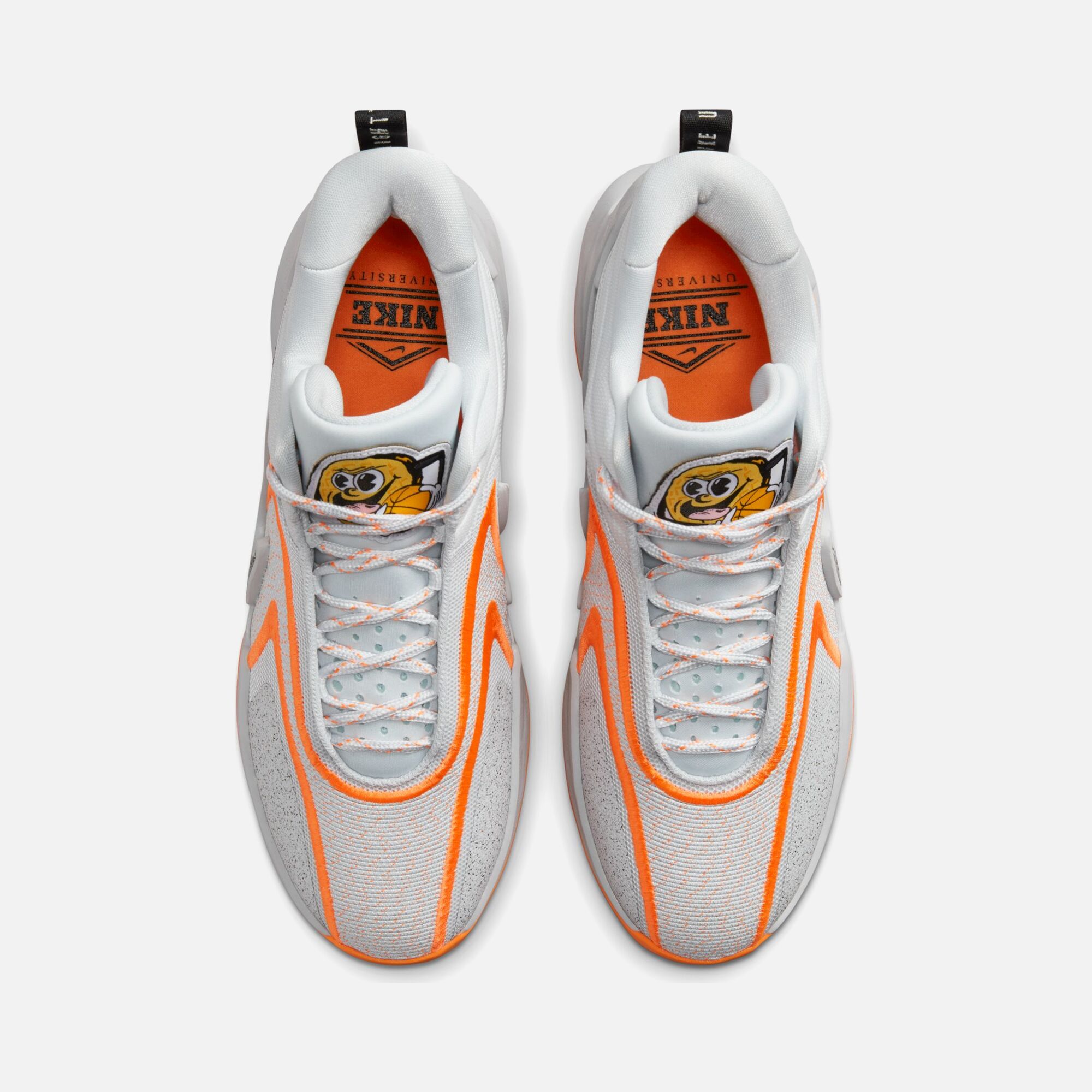 Nike Cosmic Unity 2 Erkek Basketbol Ayakkabısı