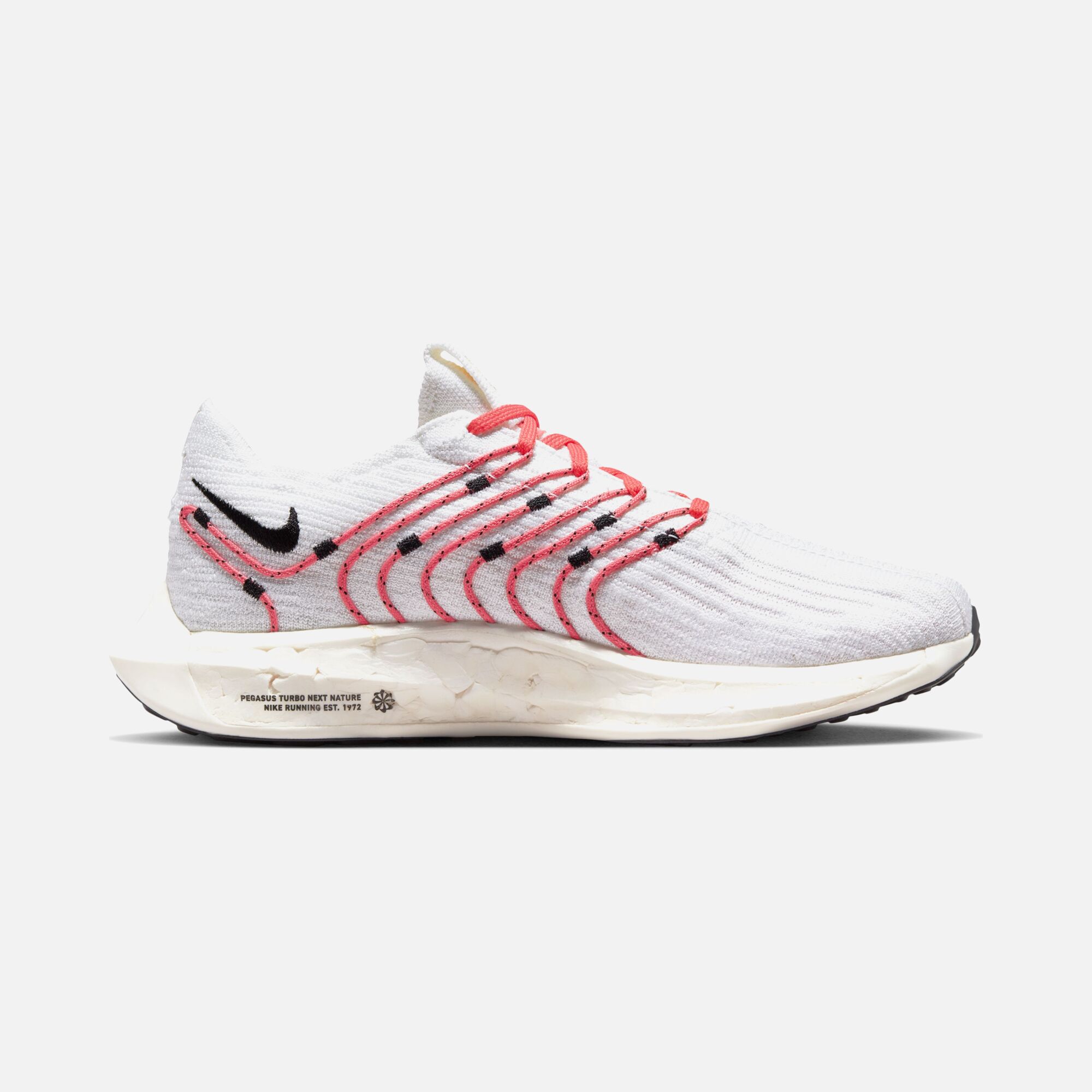 Nike Pegasus Turbo Next Nature Road Running Kadın Spor Ayakkabı