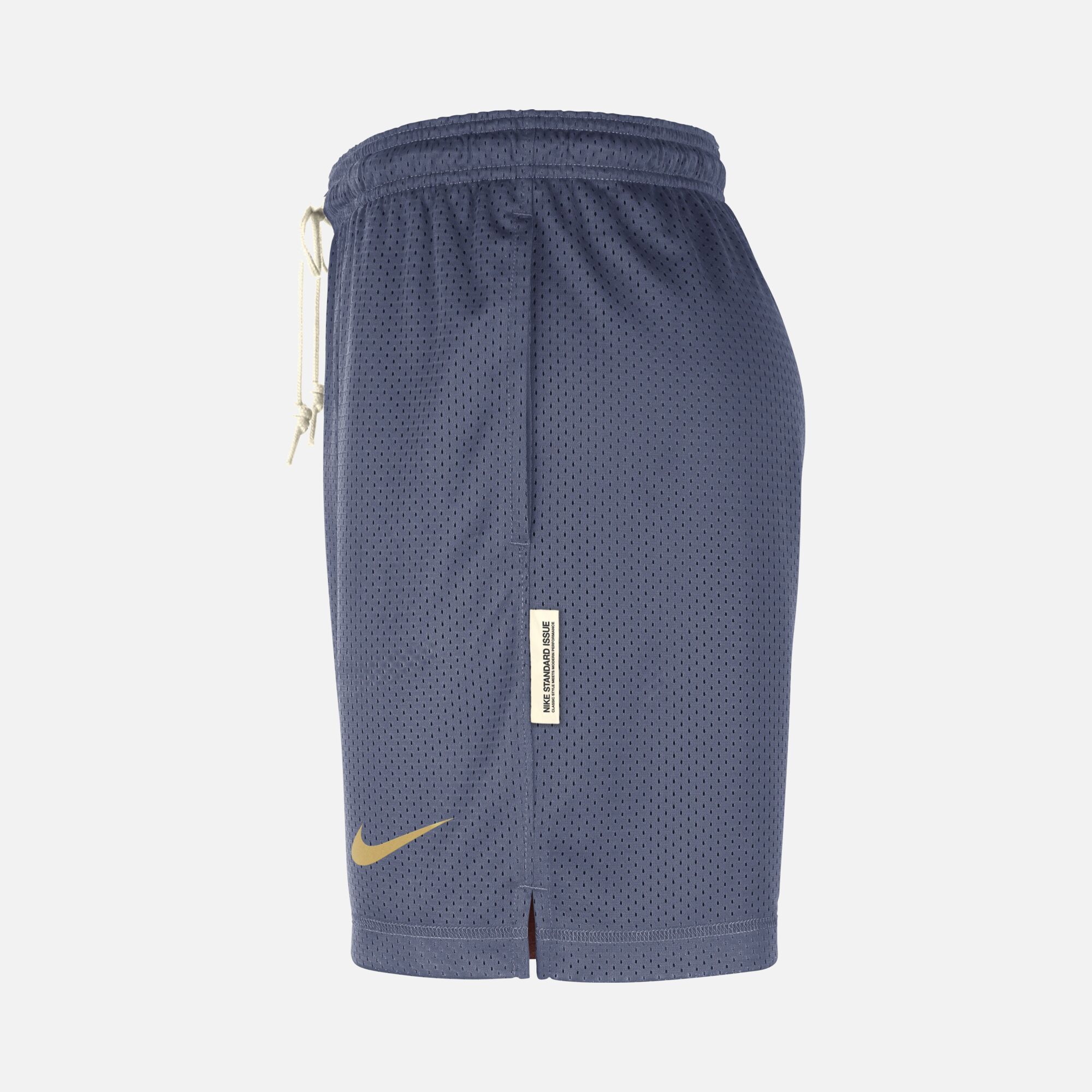 Nike Dri-Fit Team 31 Standard Issue Reversible NBA Basketball Erkek Şort