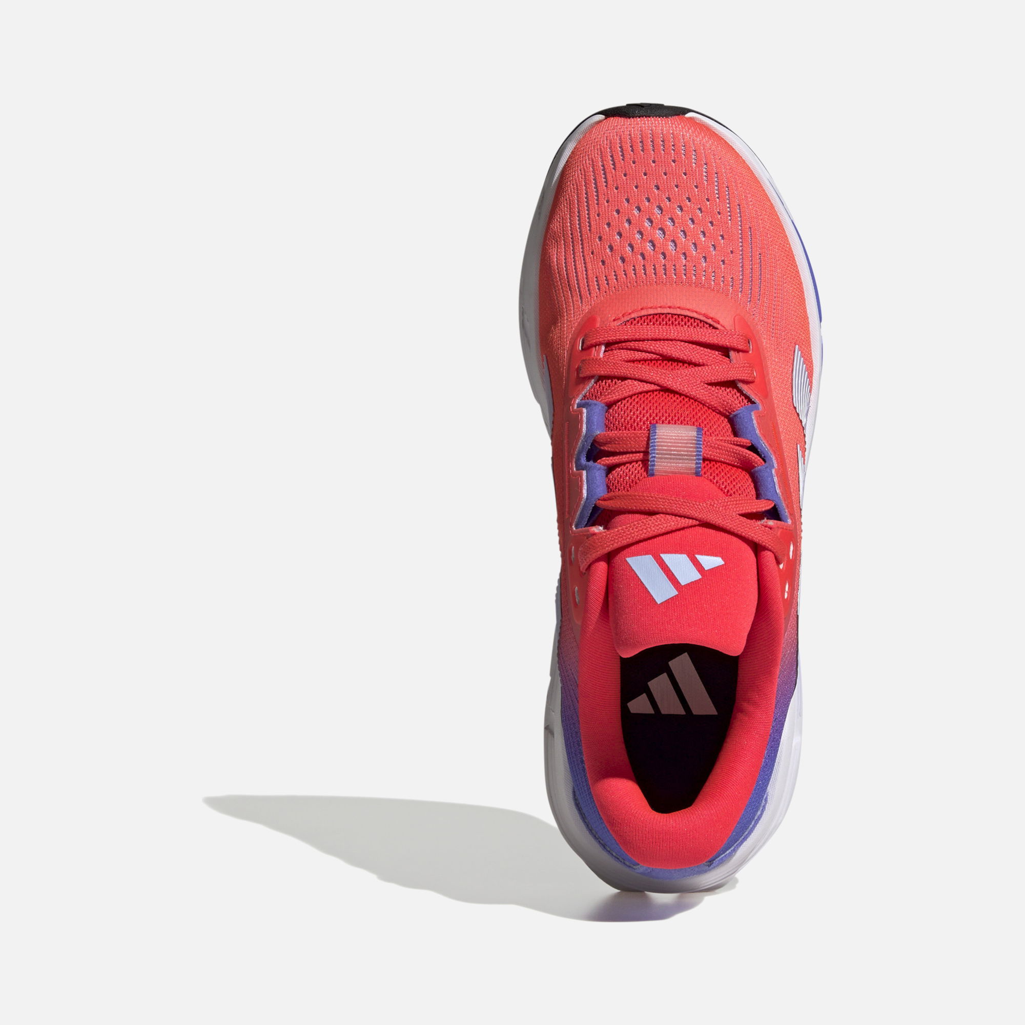 adidas Questar 3 Short Distance Road Running Kadın Spor Ayakkabı