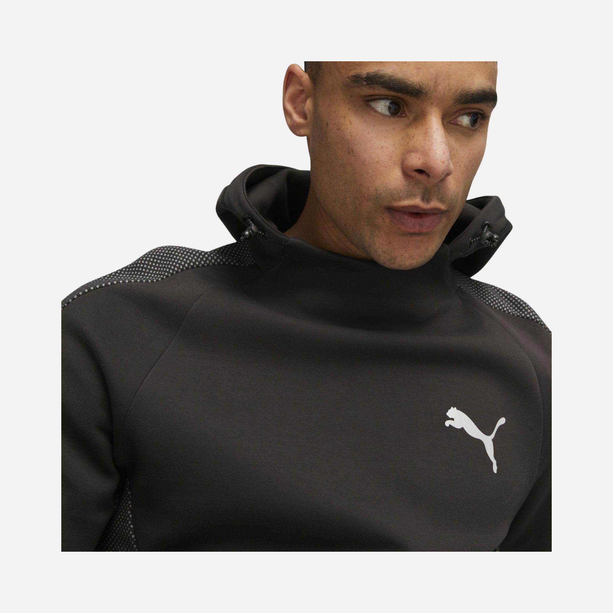 Puma Sportswear Evostripe Dk Hoodie Erkek Sweatshirt