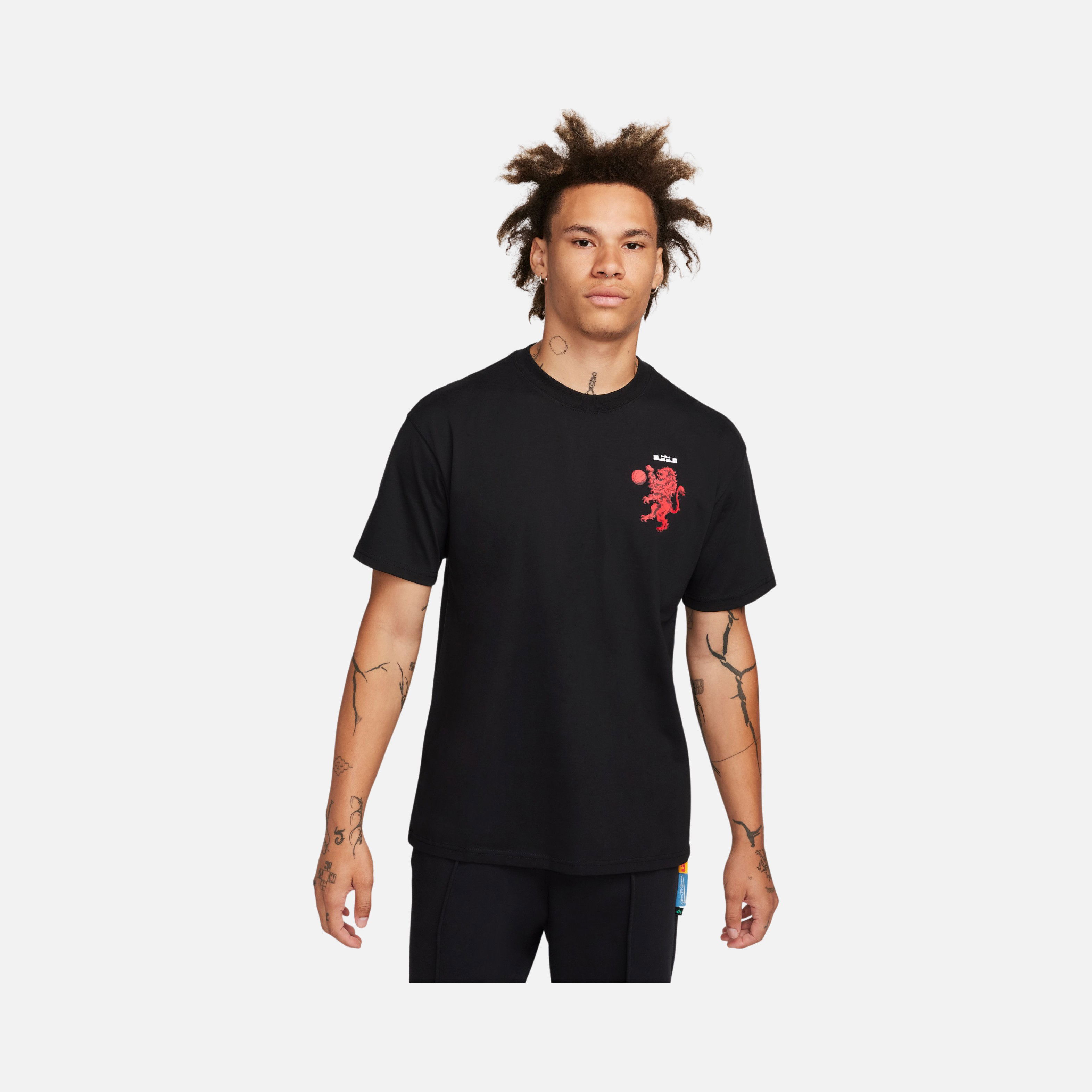 Nike LeBron James M90 Short-Sleeve Erkek Tişört