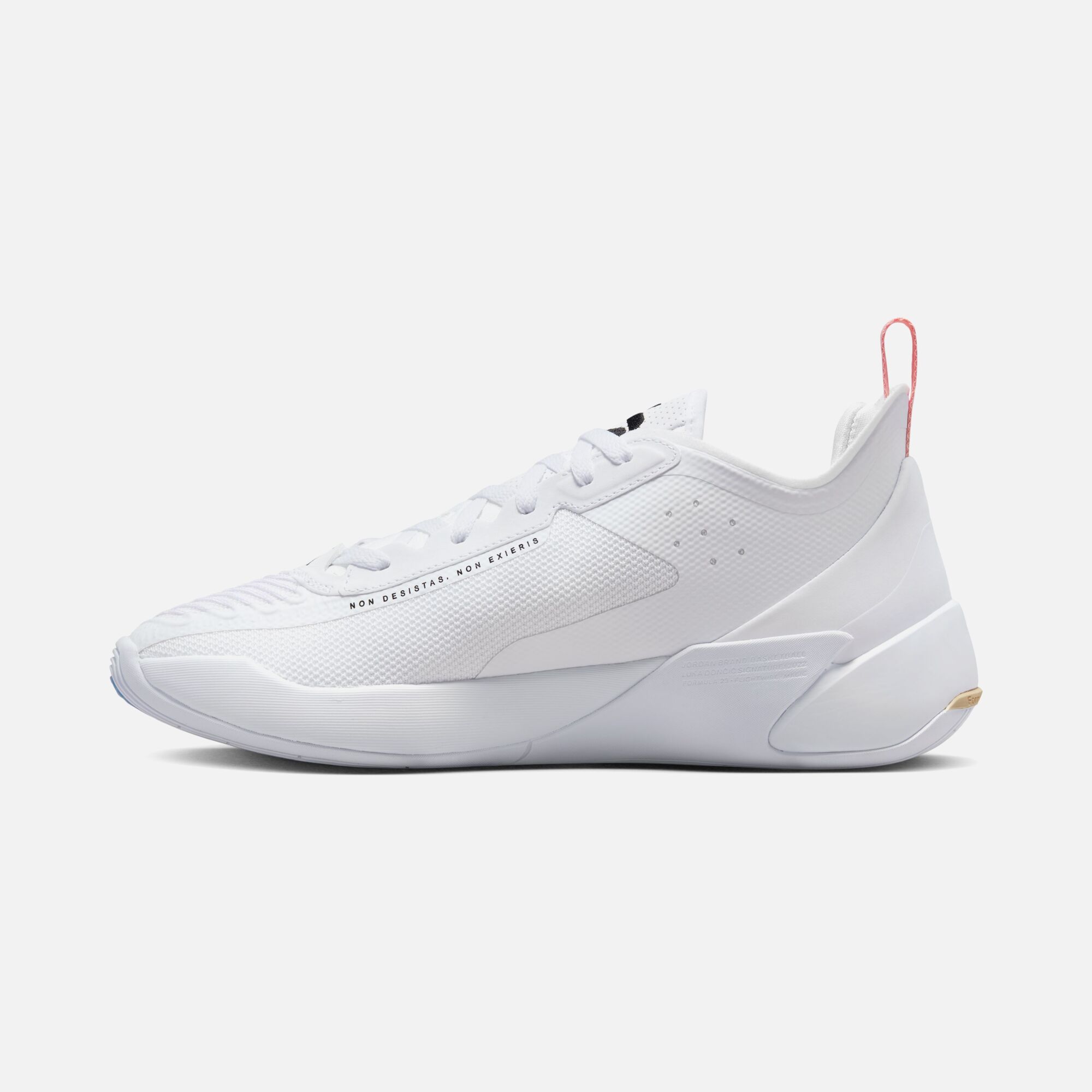 Nike Jordan Luka Doncic 1 Erkek Basketbol Ayakkabısı