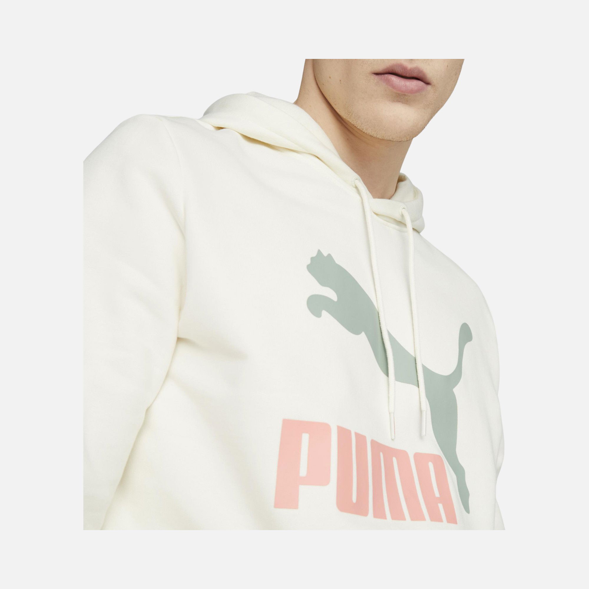 Puma Sportswear Classics Logo Hoodie Erkek Sweatshirt