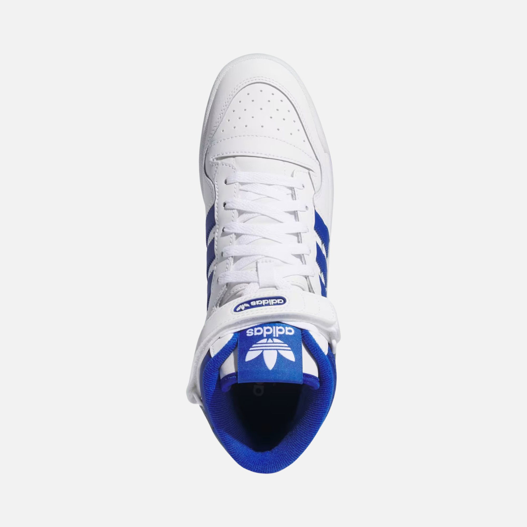 adidas Sportswear Forum Mid FW24 Erkek Spor Ayakkabı