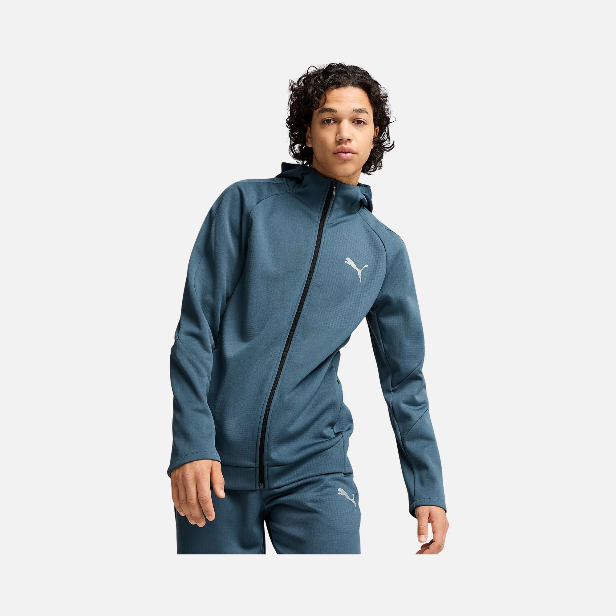 Puma Sportswear Evostripe FW24 Full-Zip Hoodie Erkek Sweatshirt