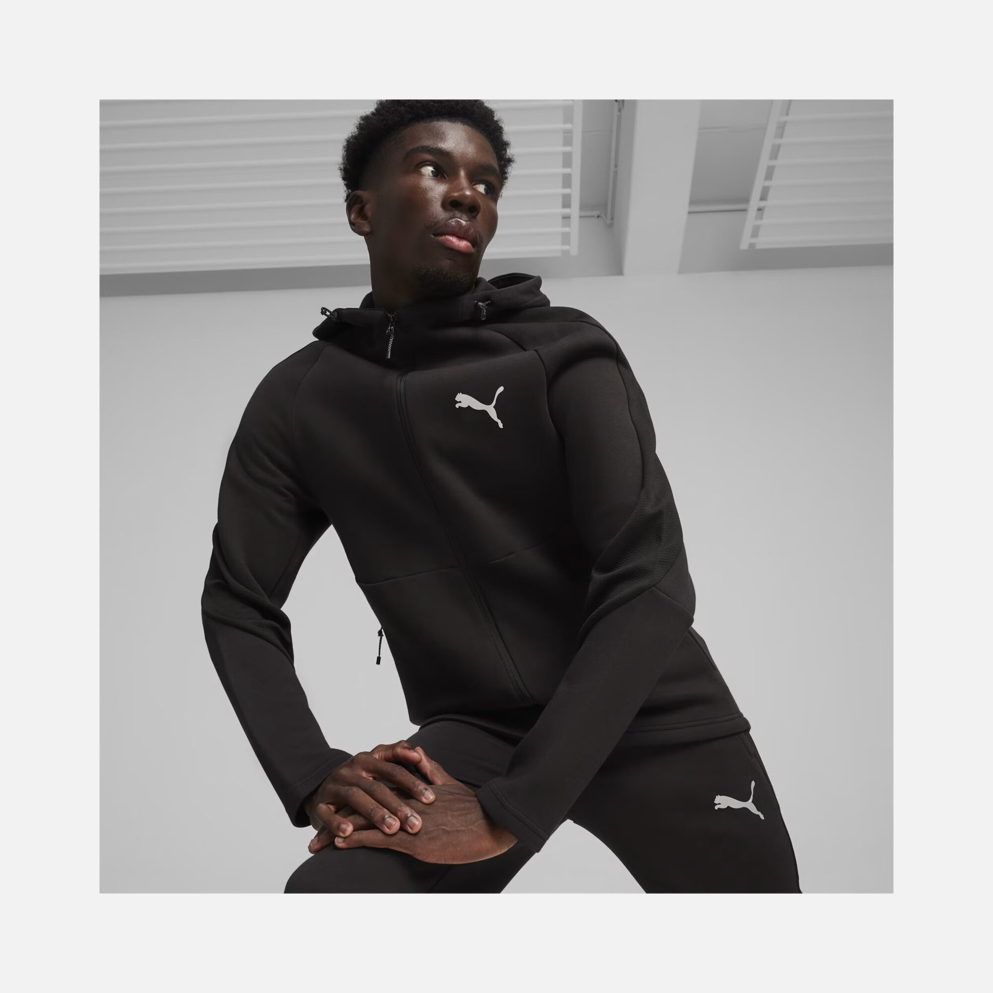 Puma Sportswear EVOSTRIPE Full-Zip Hoodie Erkek Sweatshirt