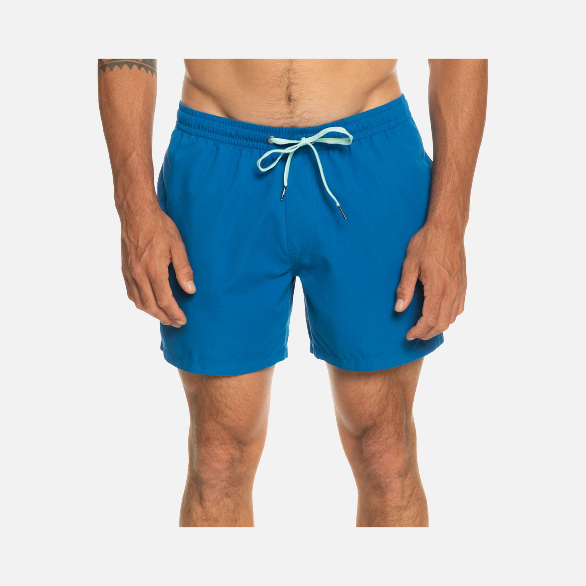 Quiksilver Everyday 15'' Erkek Şort Mayo