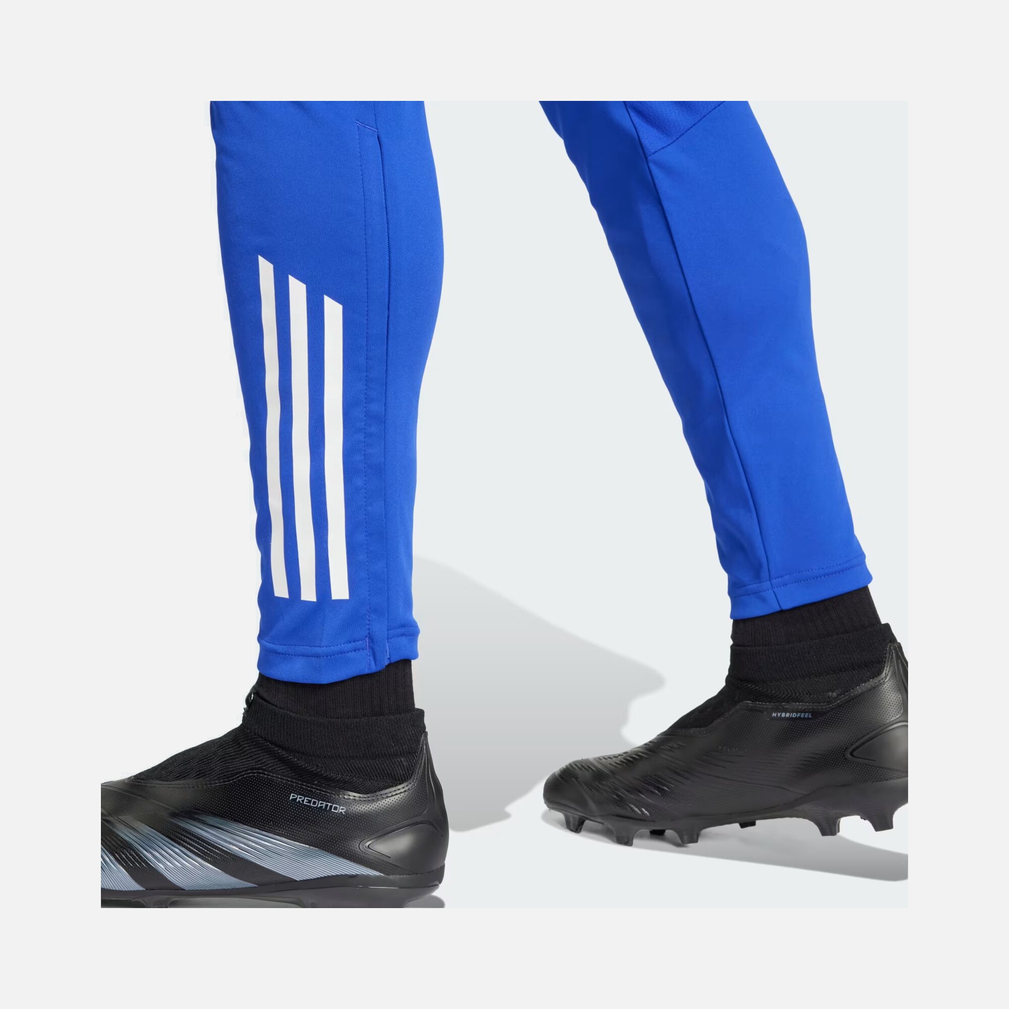 adidas Tiro 24 Competition Training 3-Stripes Erkek Eşofman Altı