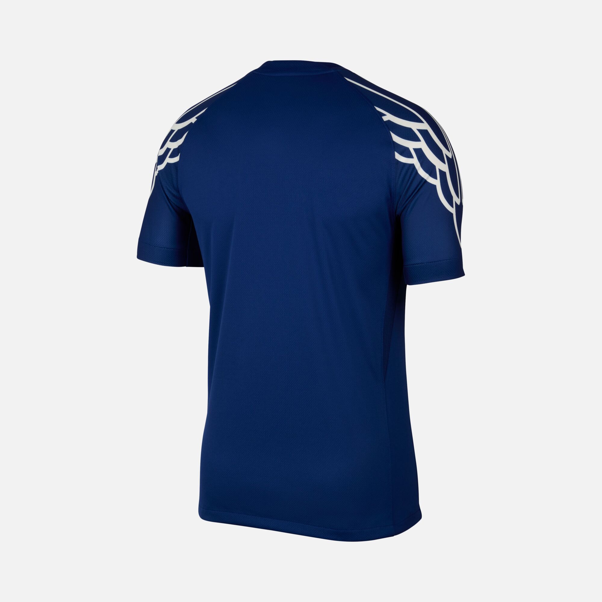 Nike Paris Saint-Germain 2024-2025 Stadyum 4th ''Celebrate 40 Years of the Special Edition Air Jordan 1'' Supporter Erkek Forma