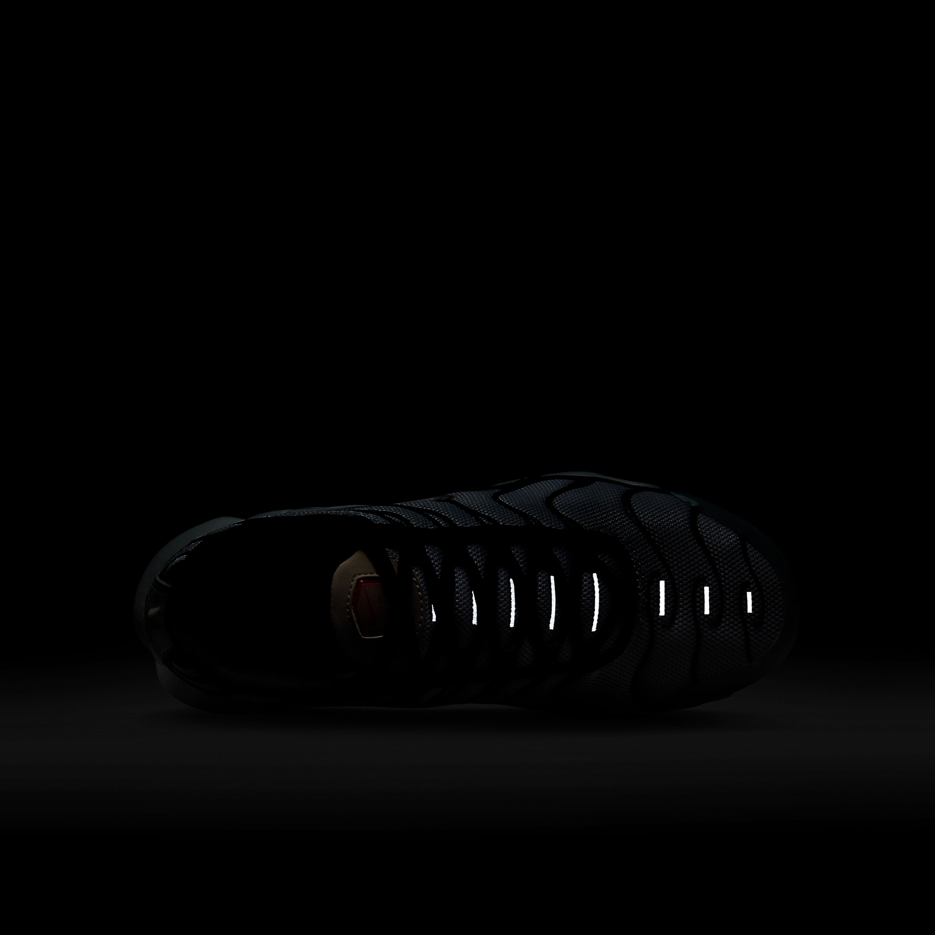 Nike Air Max Plus (GS) Spor Ayakkabı
