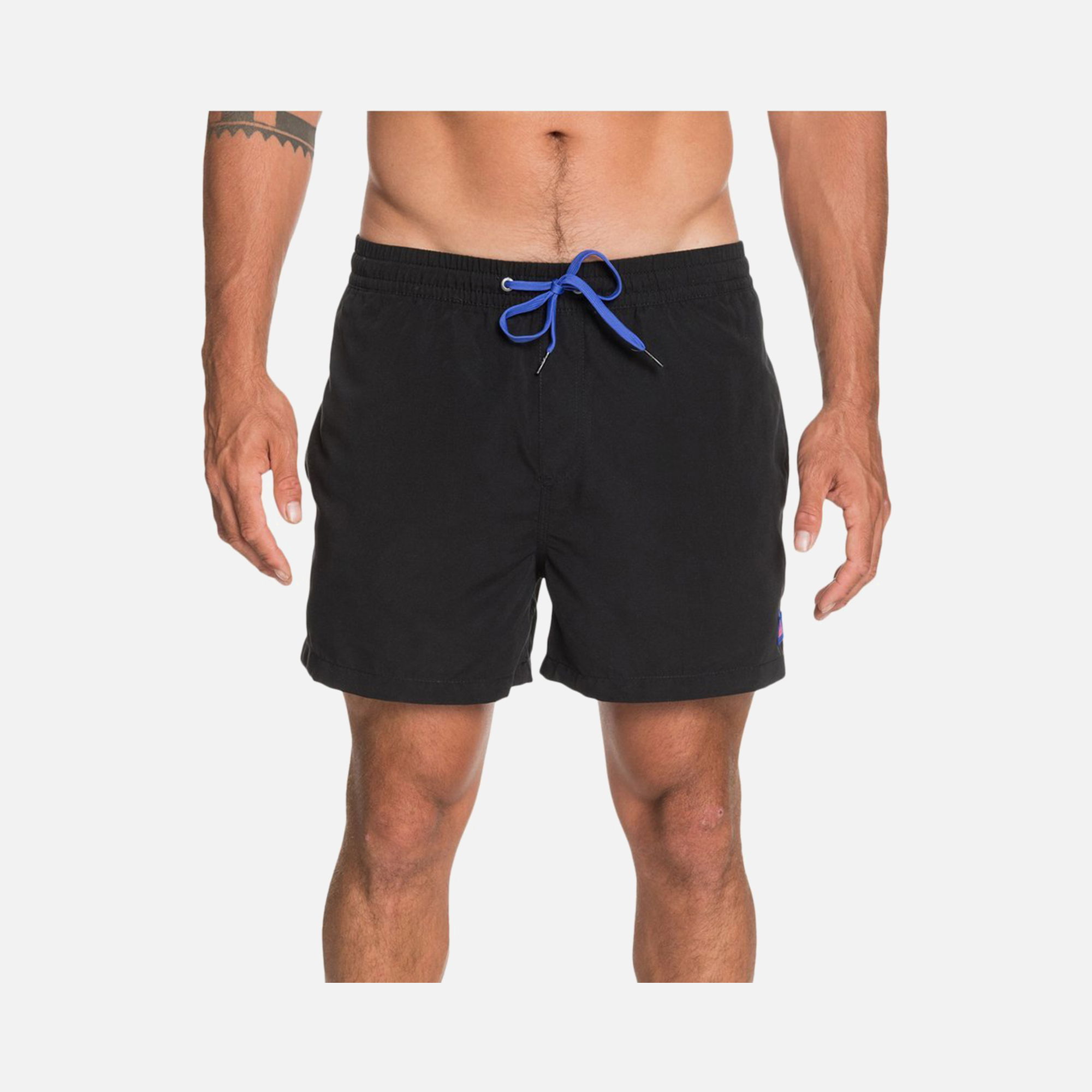 Quiksilver Everyday 15'' Erkek Şort Mayo