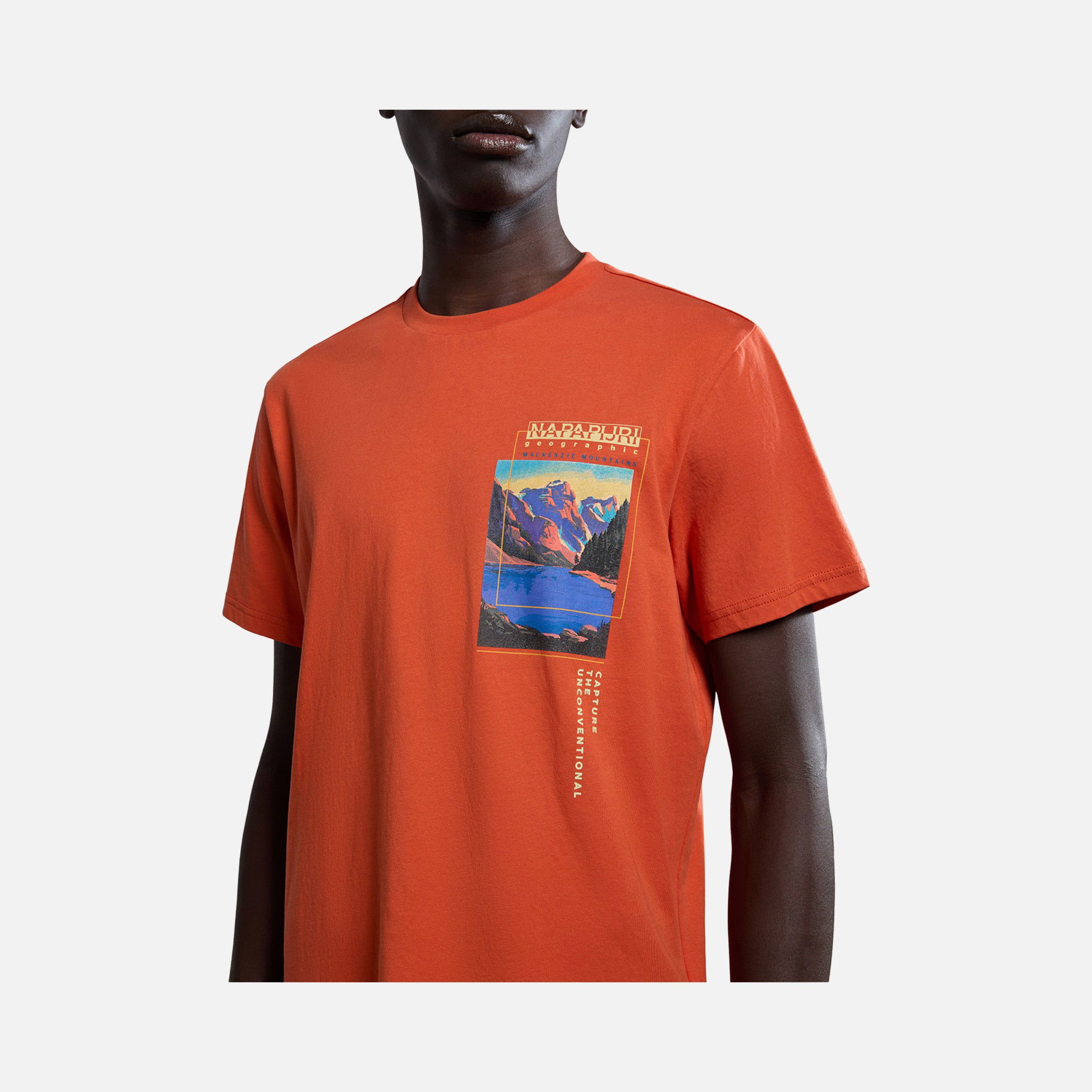 Napapijri Sportswear Canada Graphic Short-Sleeve Erkek Tişört