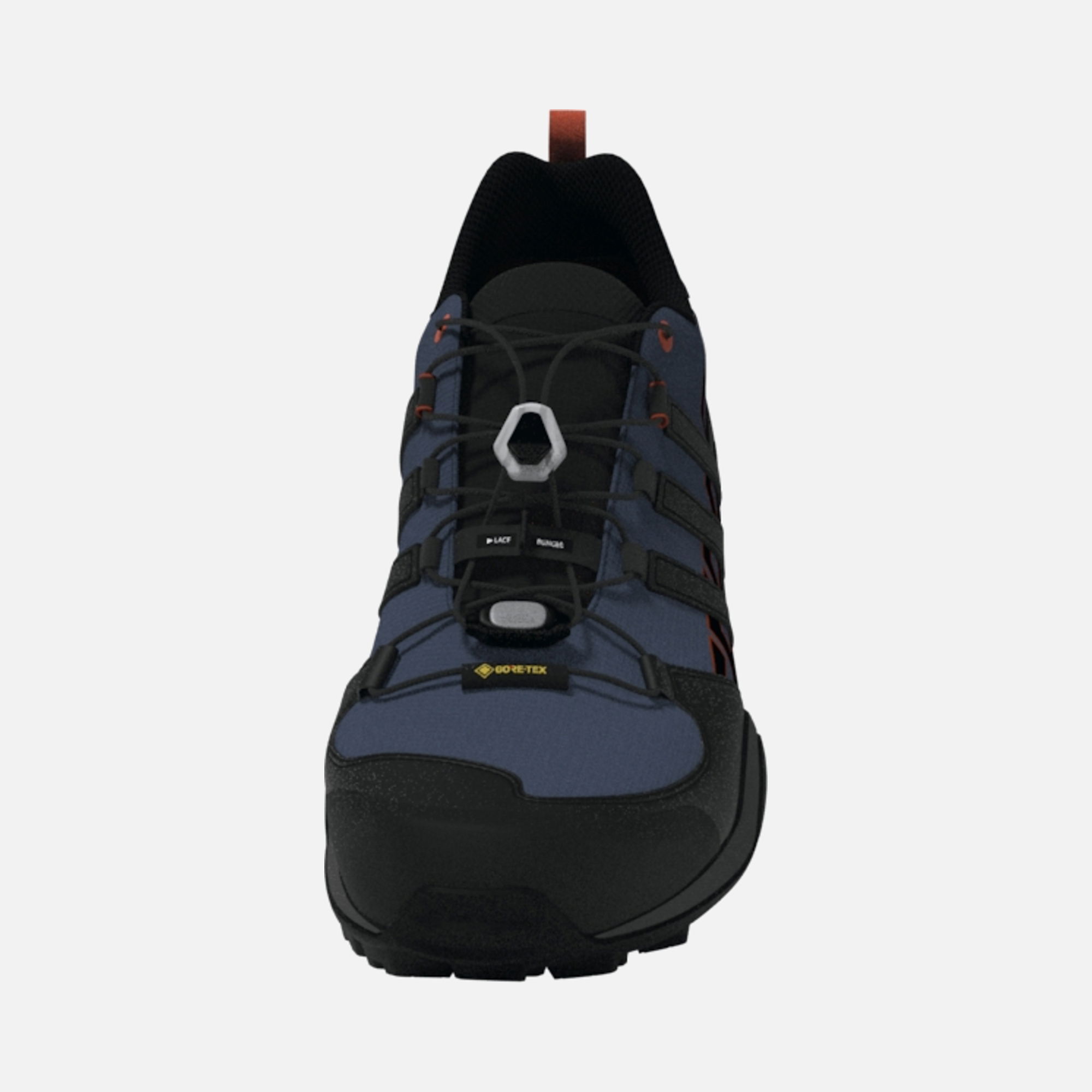 adidas Terrex Swift R2 Gore-Tex Hiking '24 Erkek Spor Ayakkabı