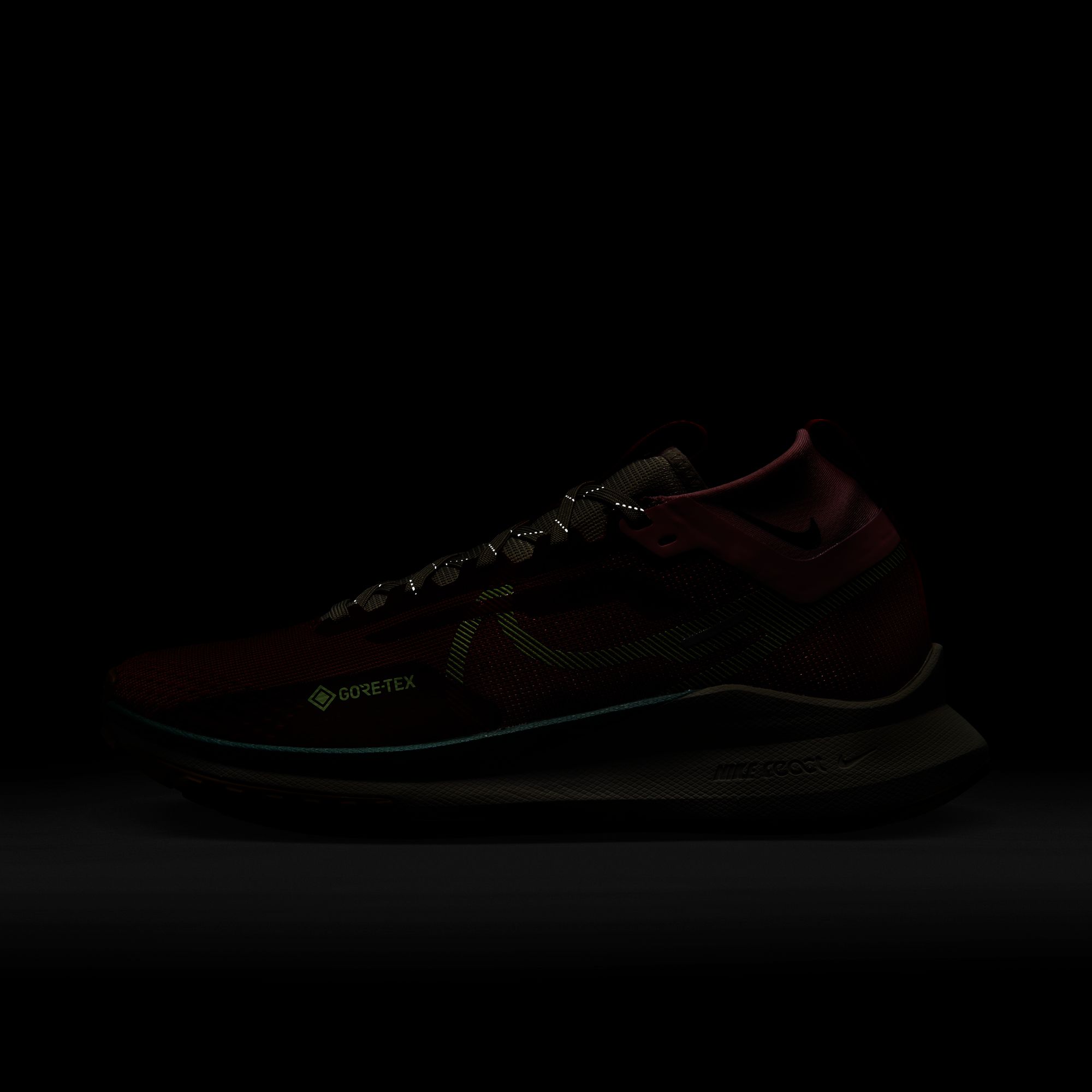 Nike React Pegasus Trail 4 Gore-Tex Road Running Kadın Spor Ayakkabı