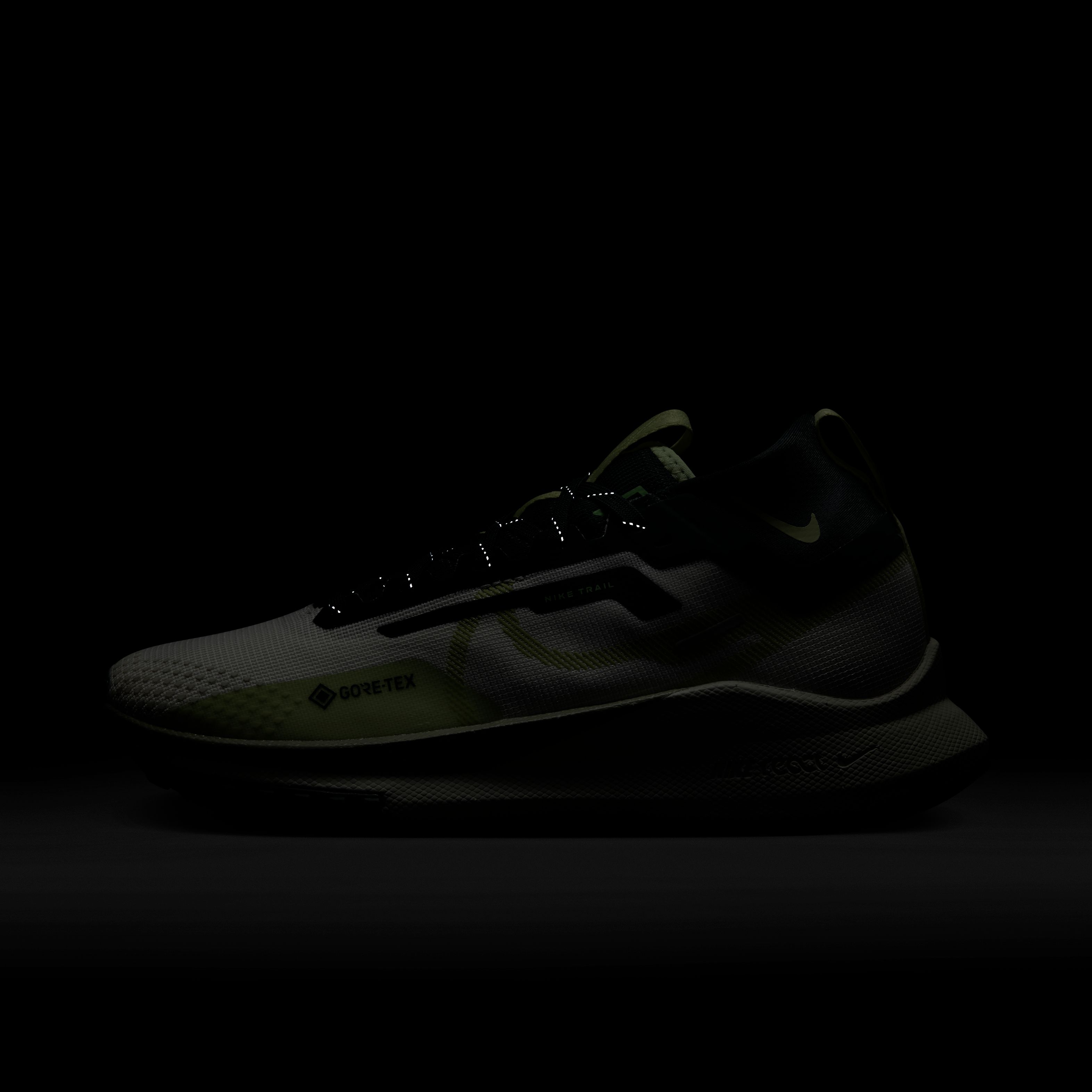 Nike React Pegasus Trail 4 Gore-Tex Kadın Spor Ayakkabı