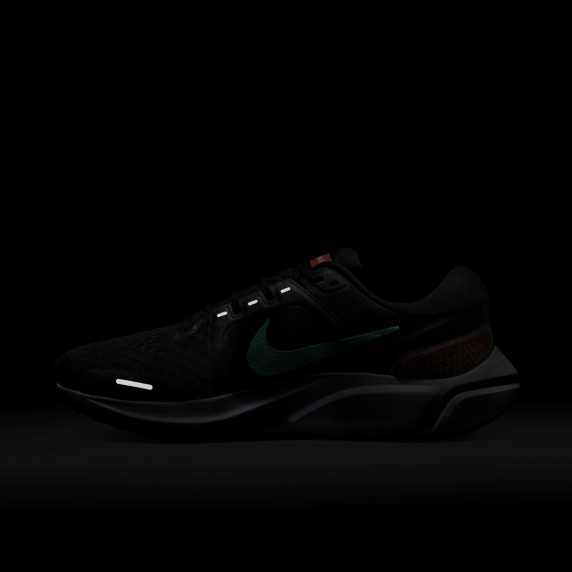 Nike Air Zoom Vomero 16 Road Running Kadın Spor Ayakkabı