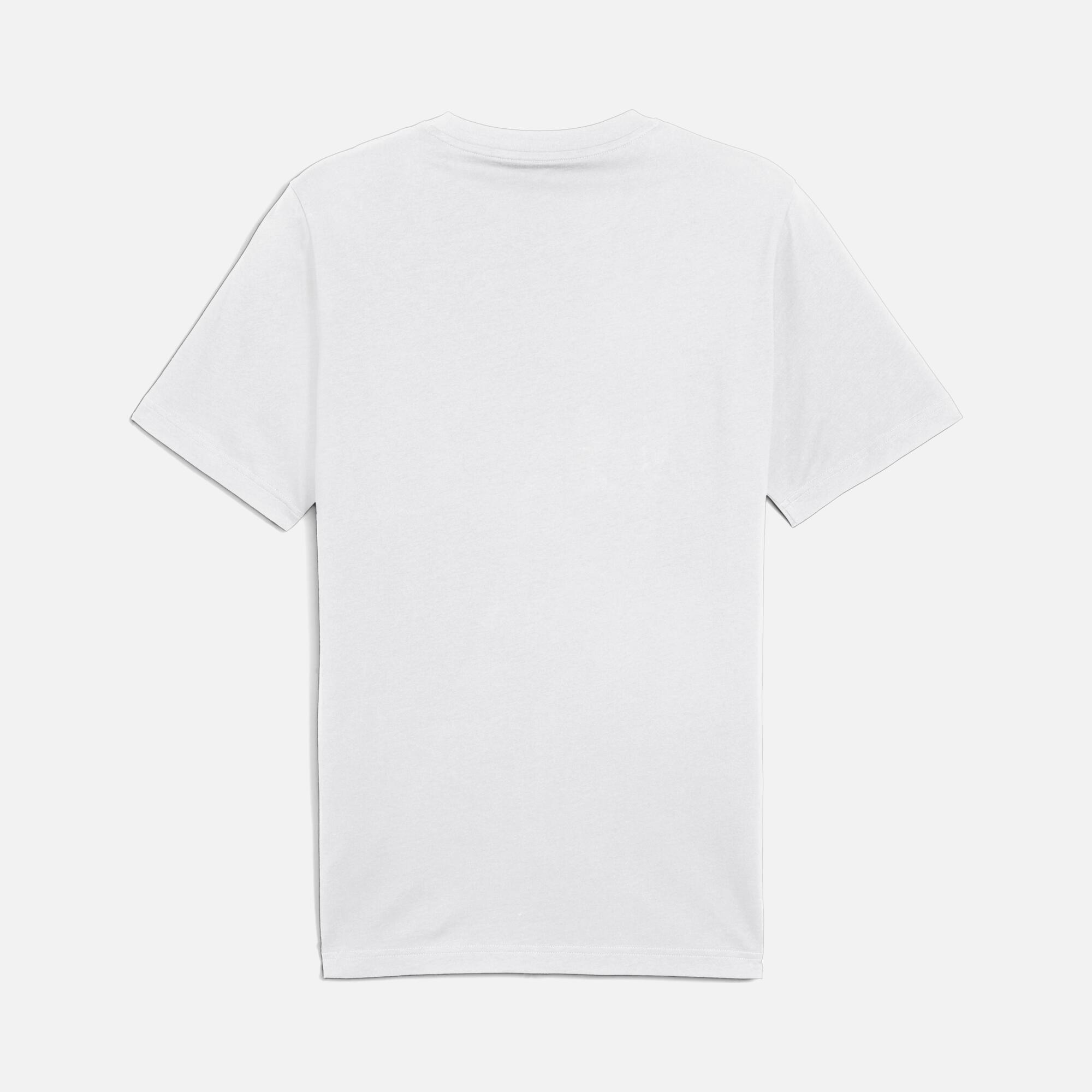 Puma Sportswear Graphics Mountain Regular-Fit Short-Sleeve Erkek Tişört