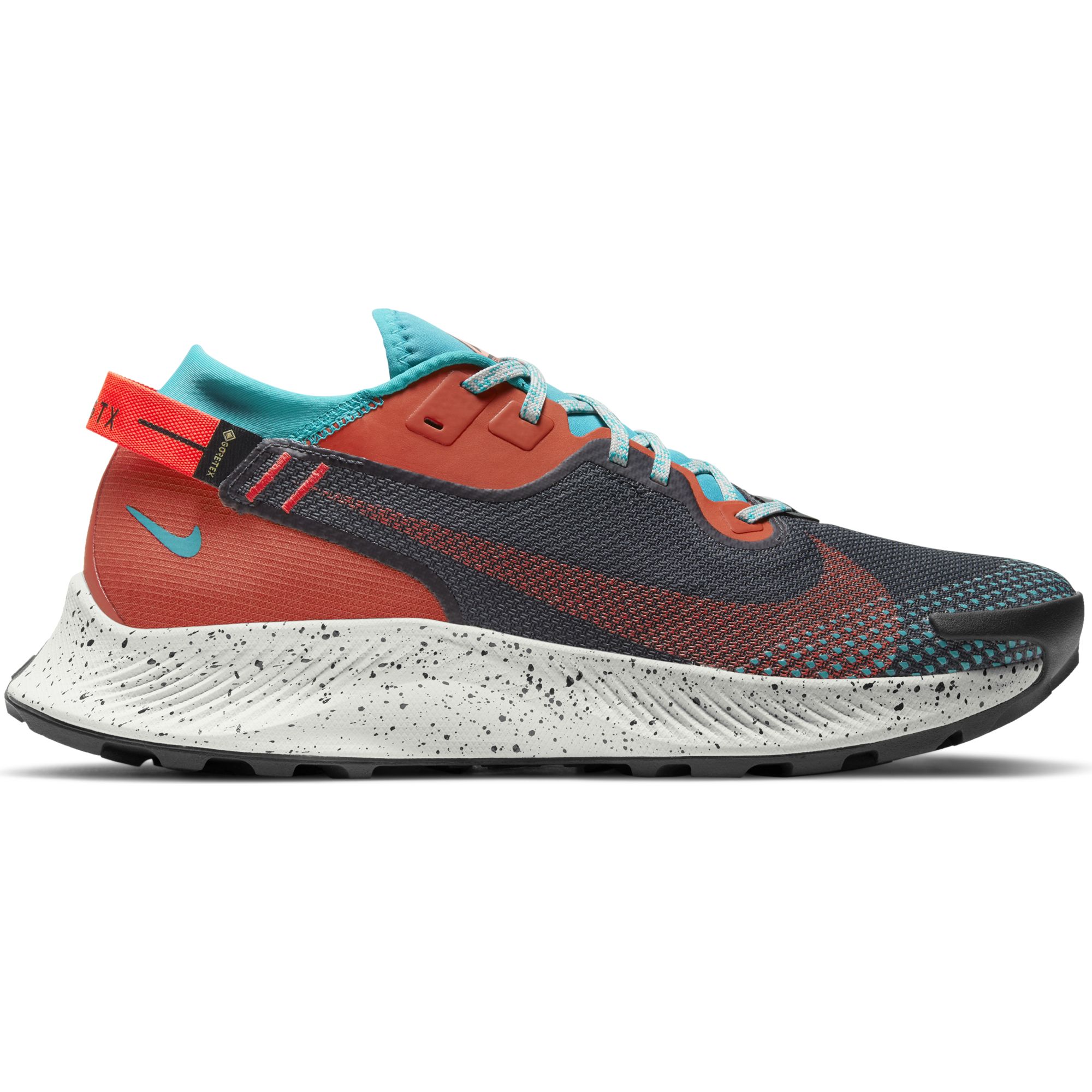 Nike Pegasus Trail 2 Gore-Tex Trail Running Erkek Spor Ayakkabı